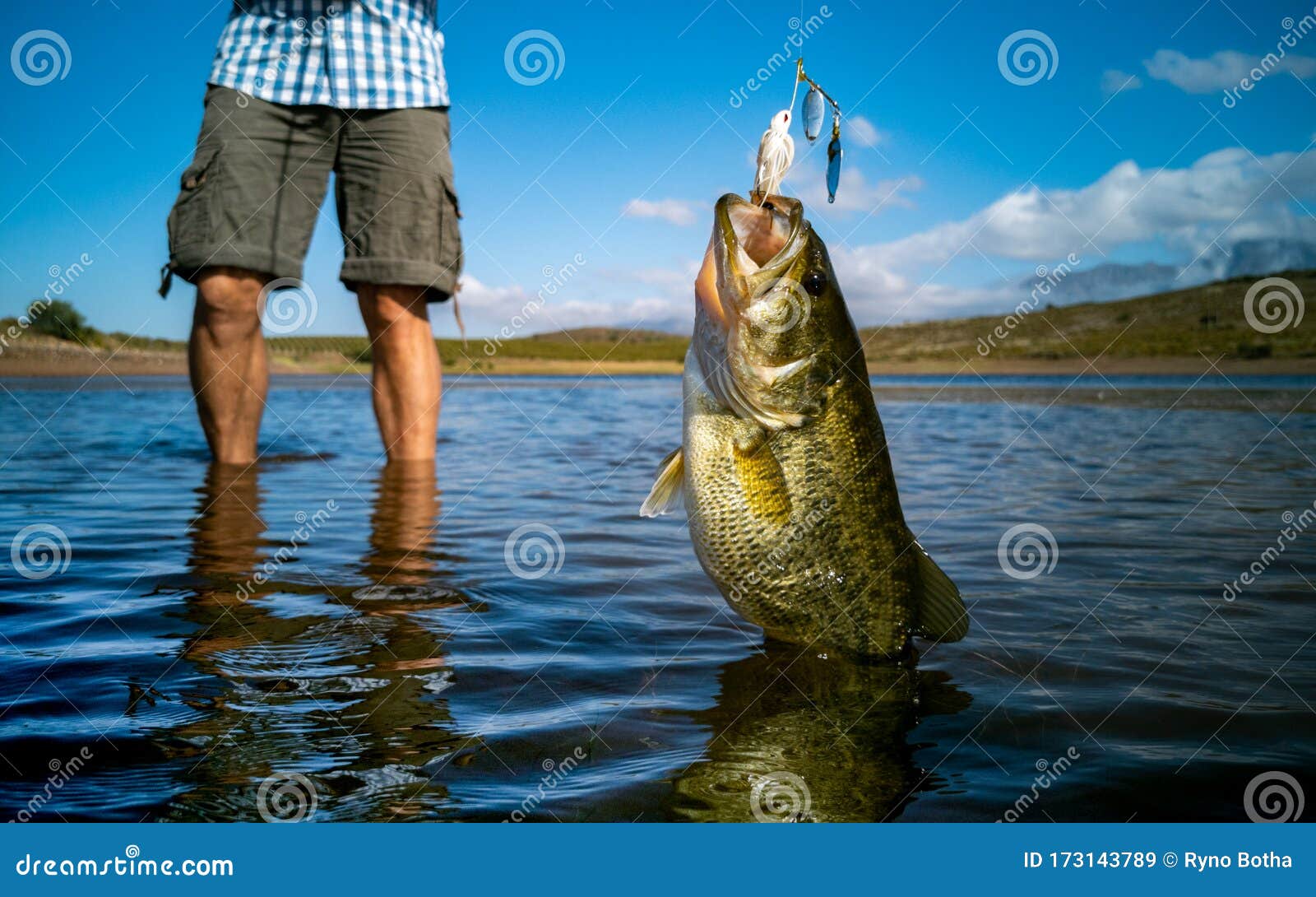 Pregnant Bass Fishing on Beautiful Lake in South Africa Closeup Shot with  Lure Stock Image - Image of fishing, hook: 173143789