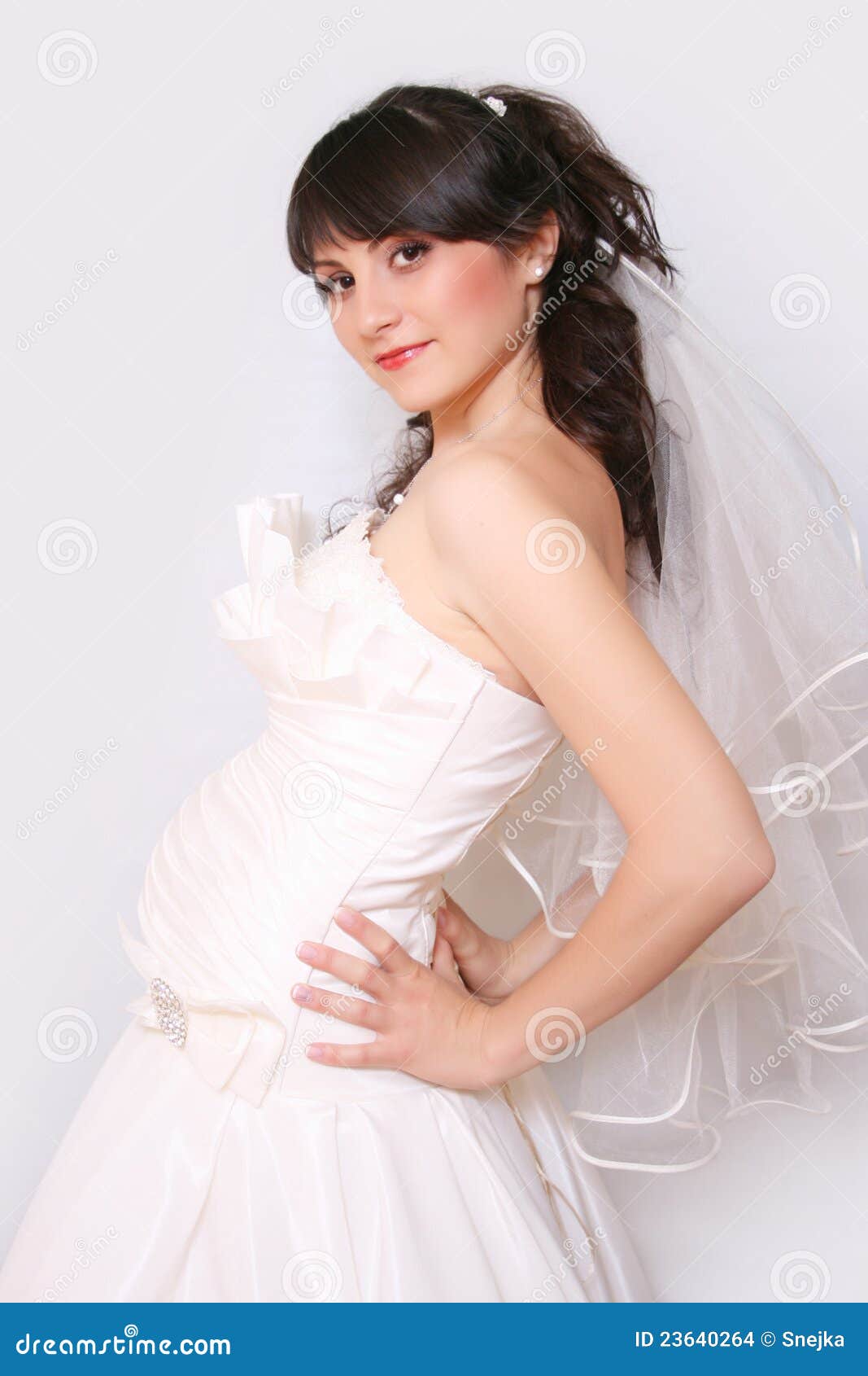 Pregnant bride stock photo. Image of happiness, baby - 23640264