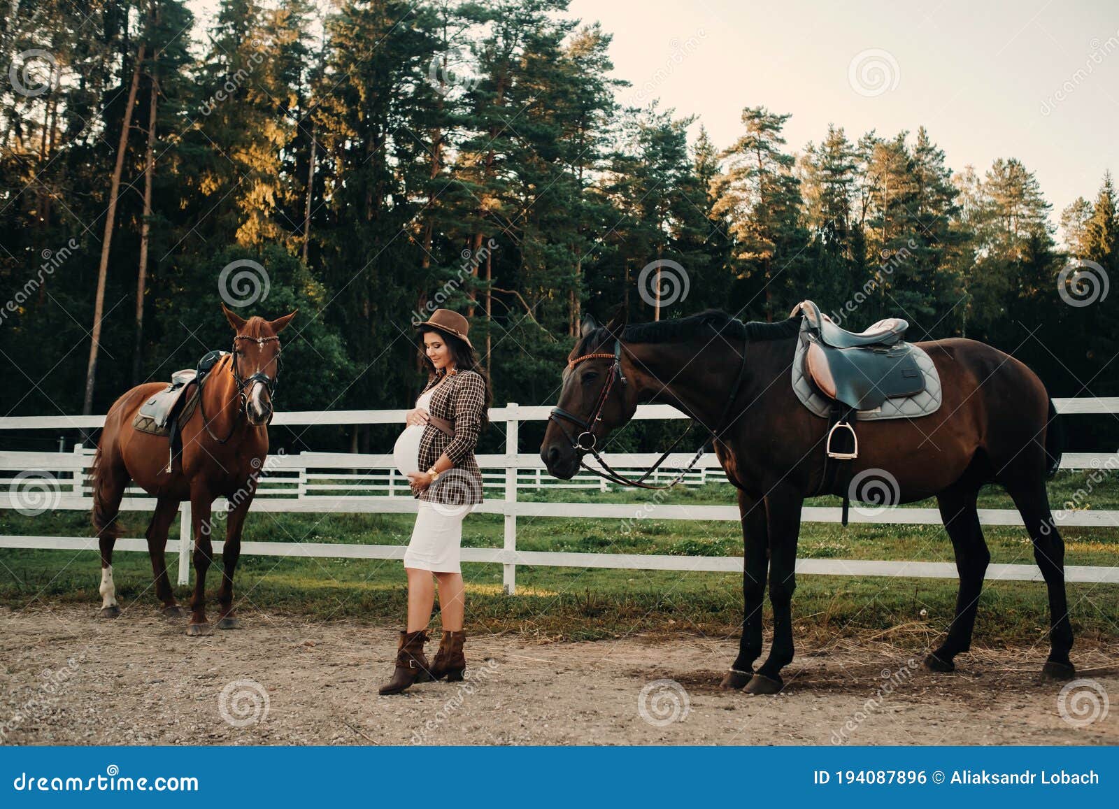 Belly Riding Horse