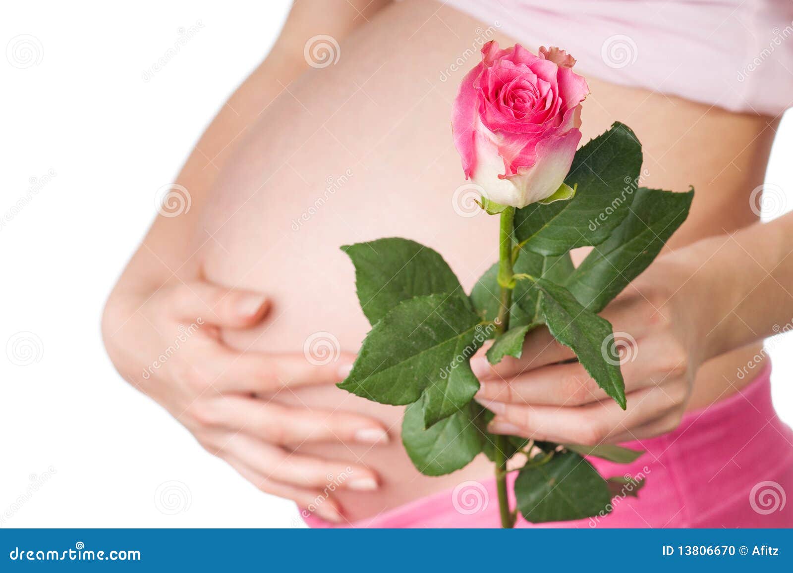 Pregnant girl with rose stock photo. Image of girl, begins 13806670