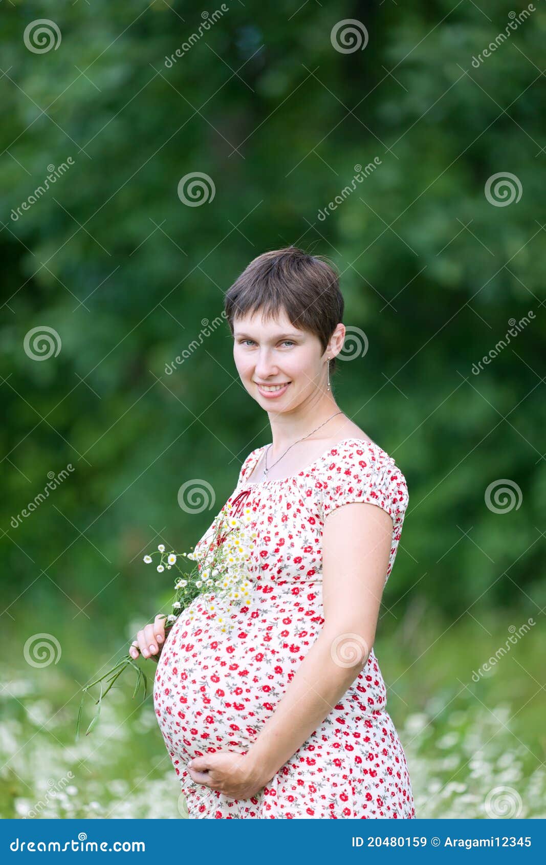 Pregnant Woman with Chamomile Stock Image Image of healthy, child