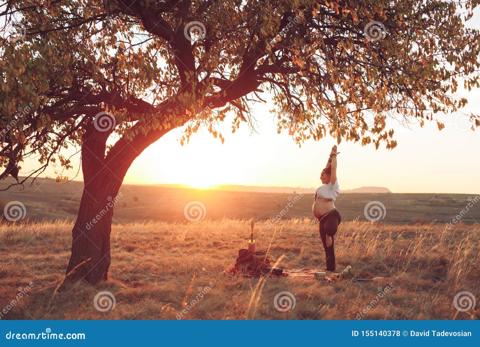 Pregnant Woman Doing Yoga in the Field at Sunset. Girl Holding a Dream ...