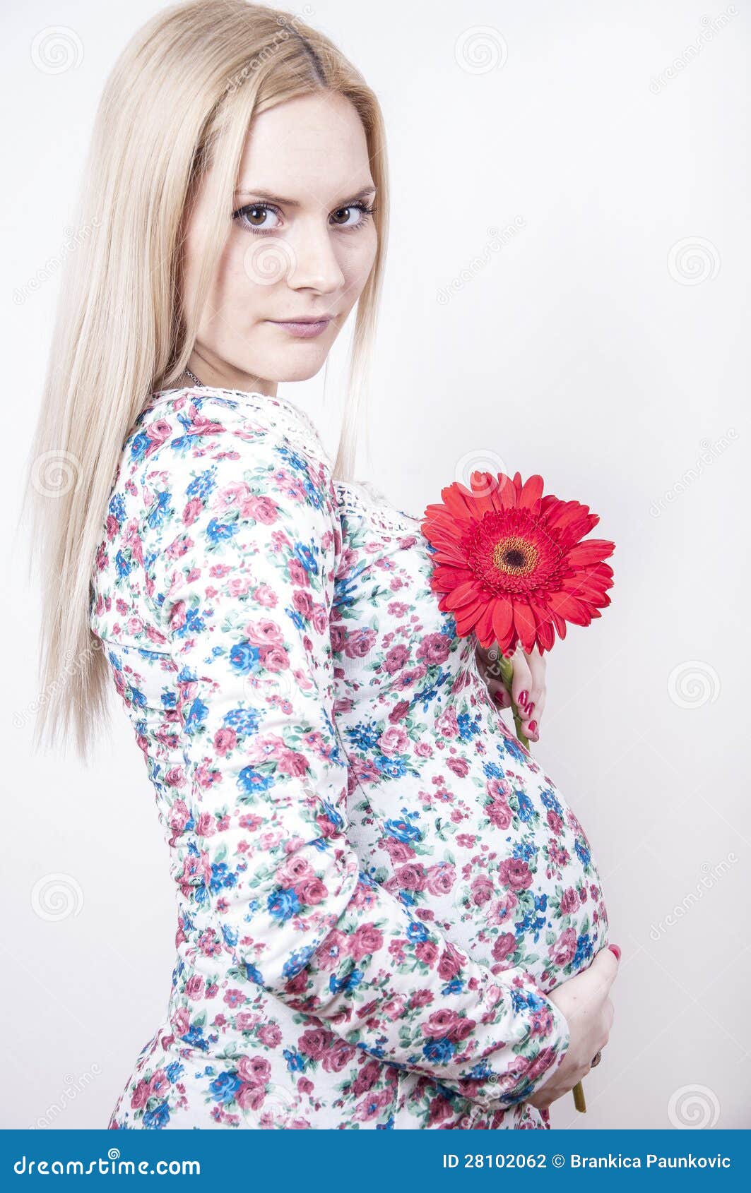 Pregnant woman with flower stock photo. Image of healthy 28102062