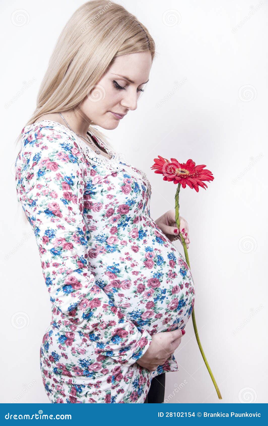Pregnant woman with flower stock photo. Image of happines 28102154