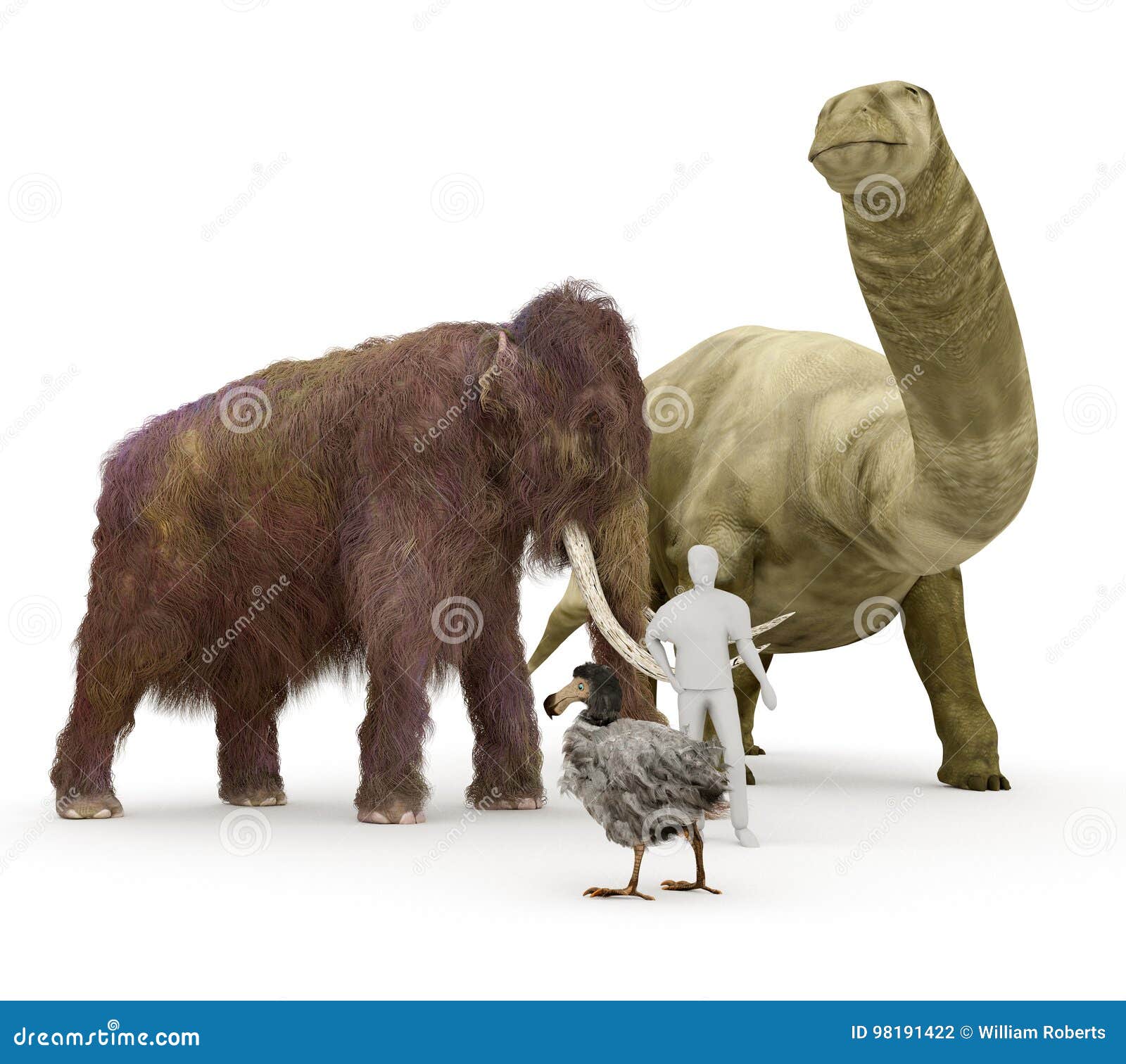 Prehistoric Extinct Animals To Human Size Comparison Stock Illustration -  Illustration of jurassic, extinct: 98191422
