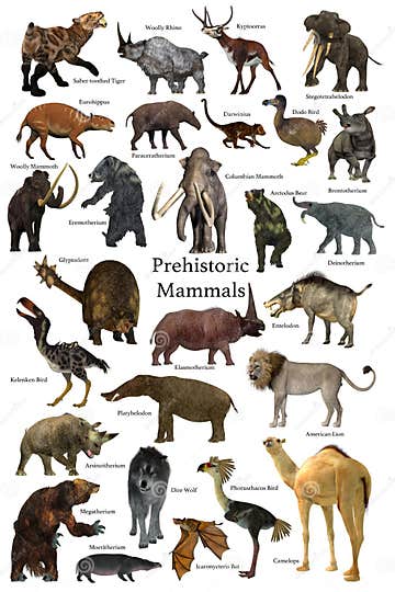 Prehistoric Mammals Collection Stock Illustration - Illustration of