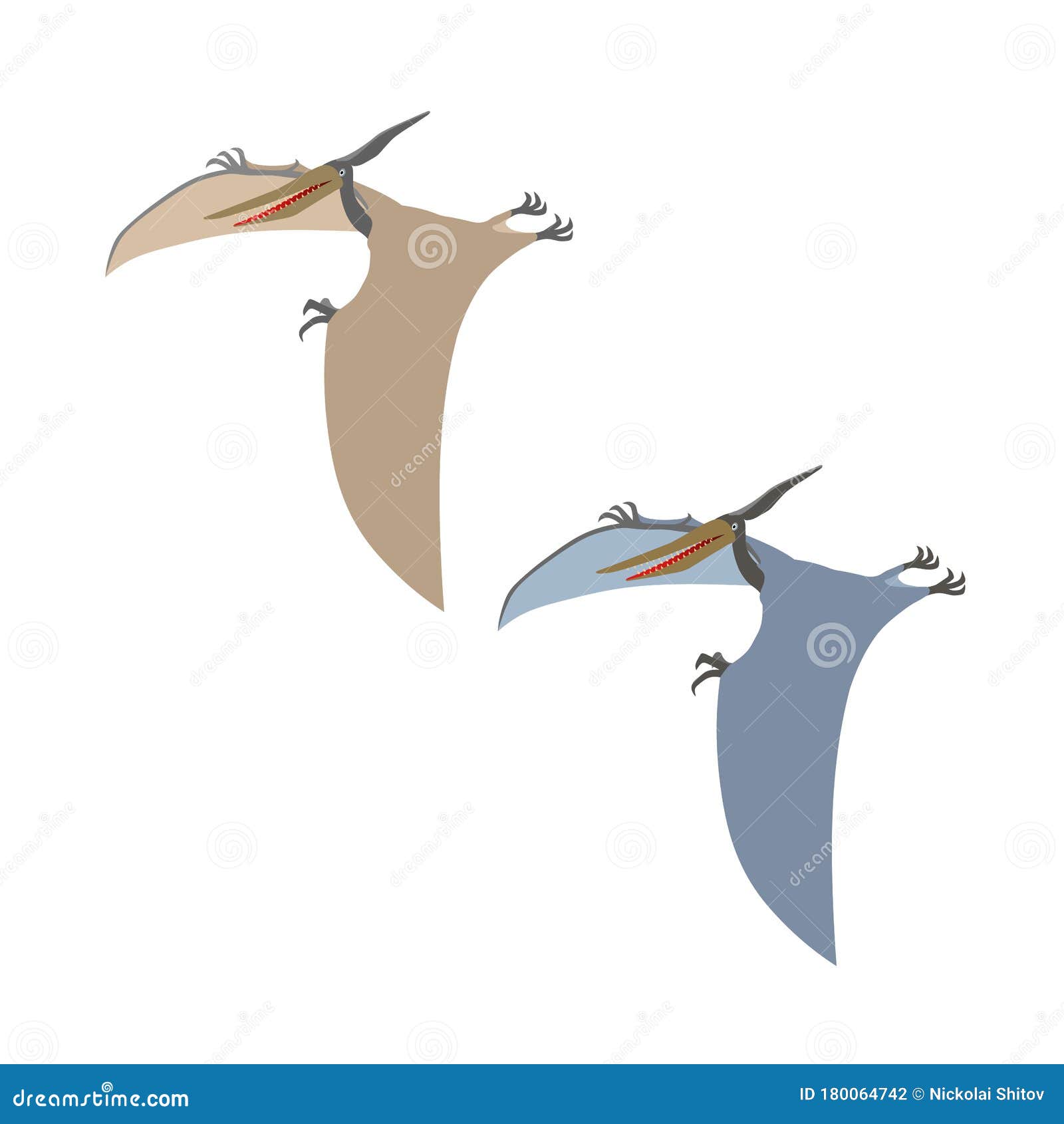 Pterosaur infographic  Prehistoric animals, Prehistoric creatures