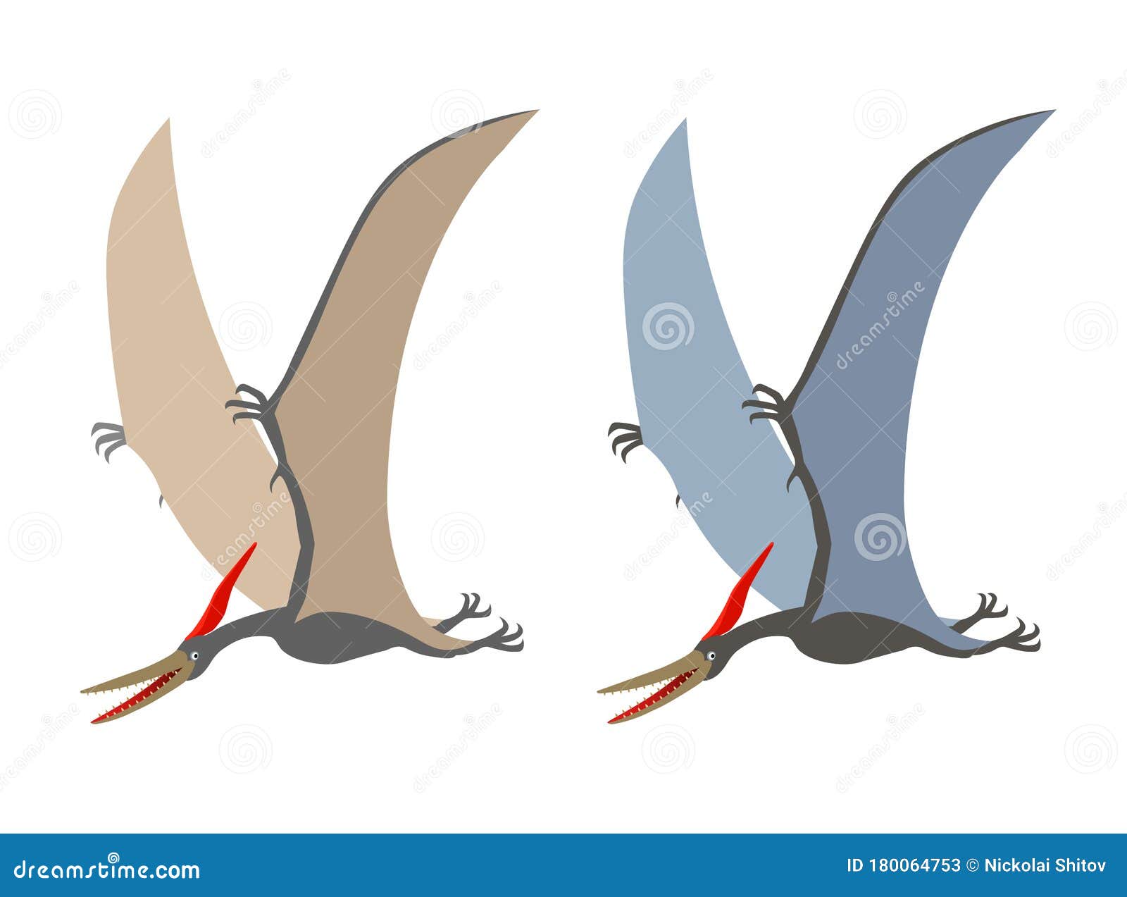 Pterosaur infographic  Prehistoric animals, Prehistoric creatures