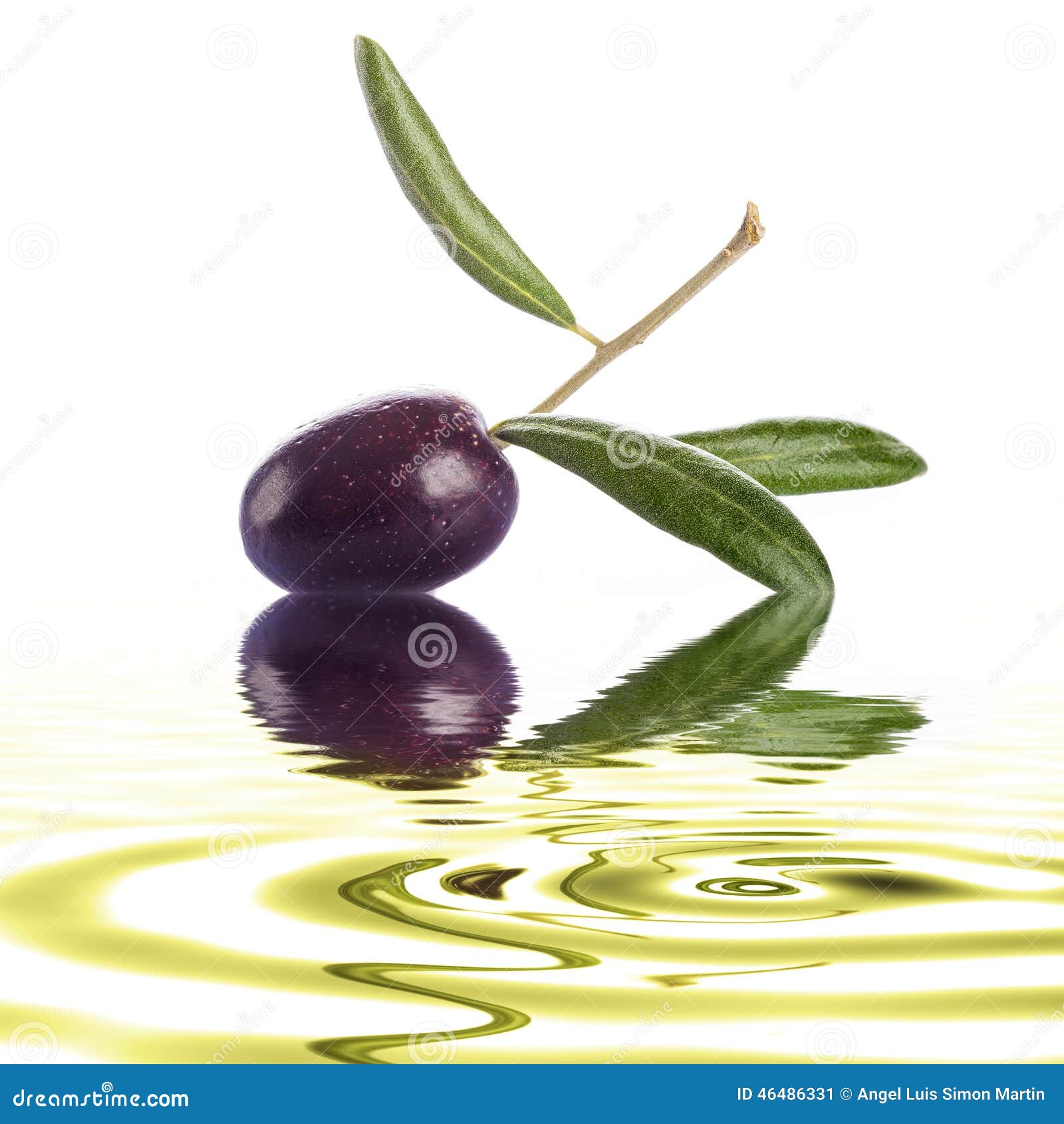 Premium Raw Olive on a White Background Stock Image - Image of green ...