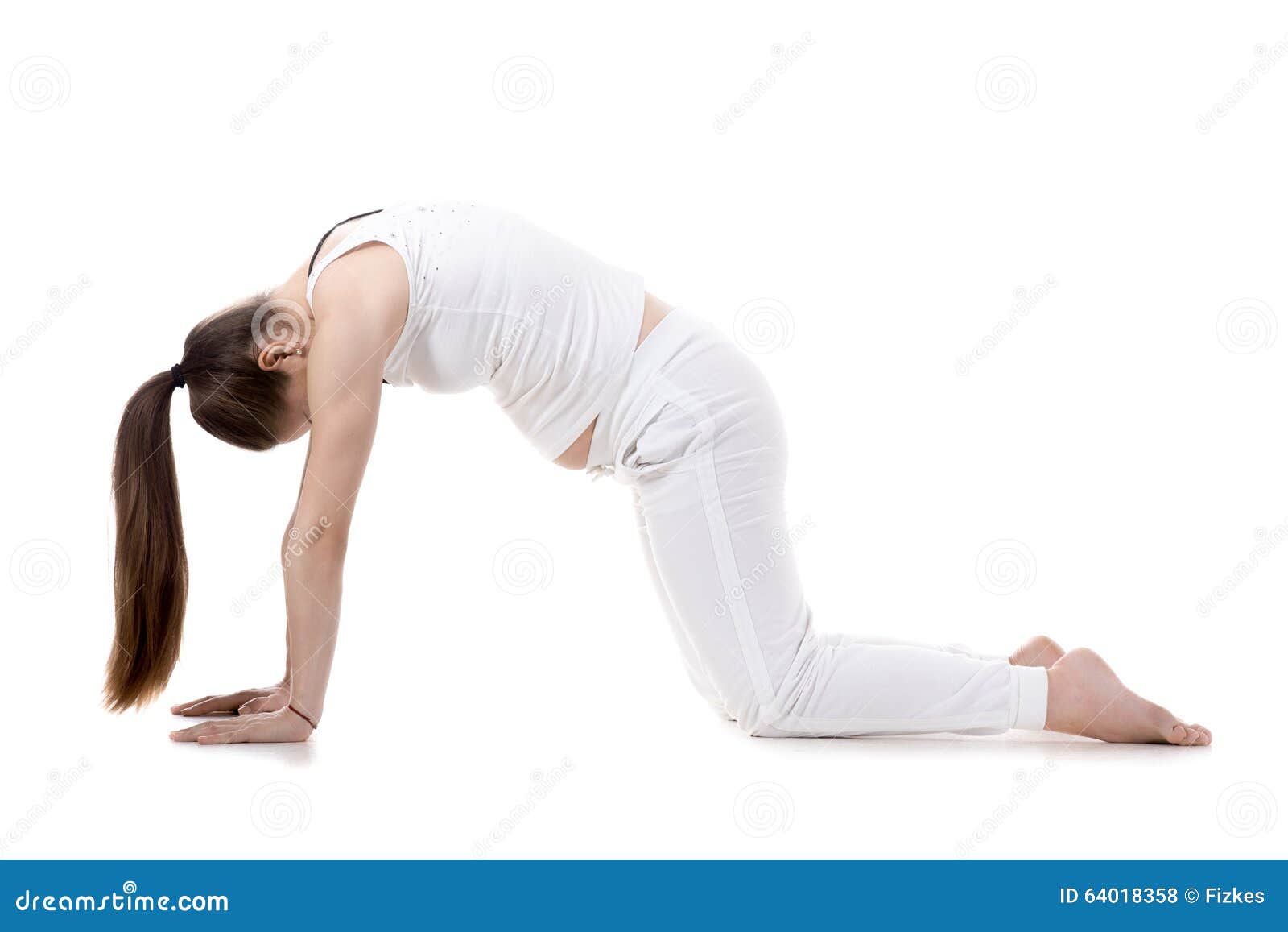 Pregnant Young Woman Doing Prenatal Yoga. Warrior Two Pose Stock