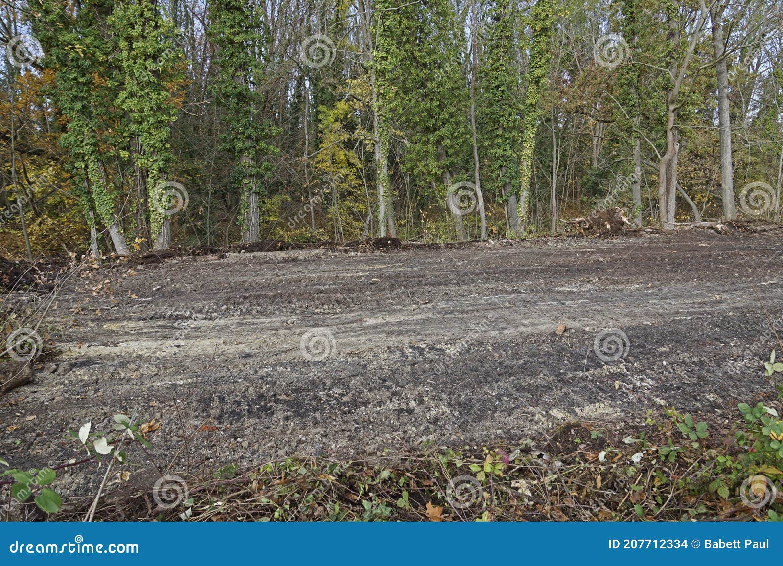 Preparation of a Building Plot Stock Photo Image of plants, plot