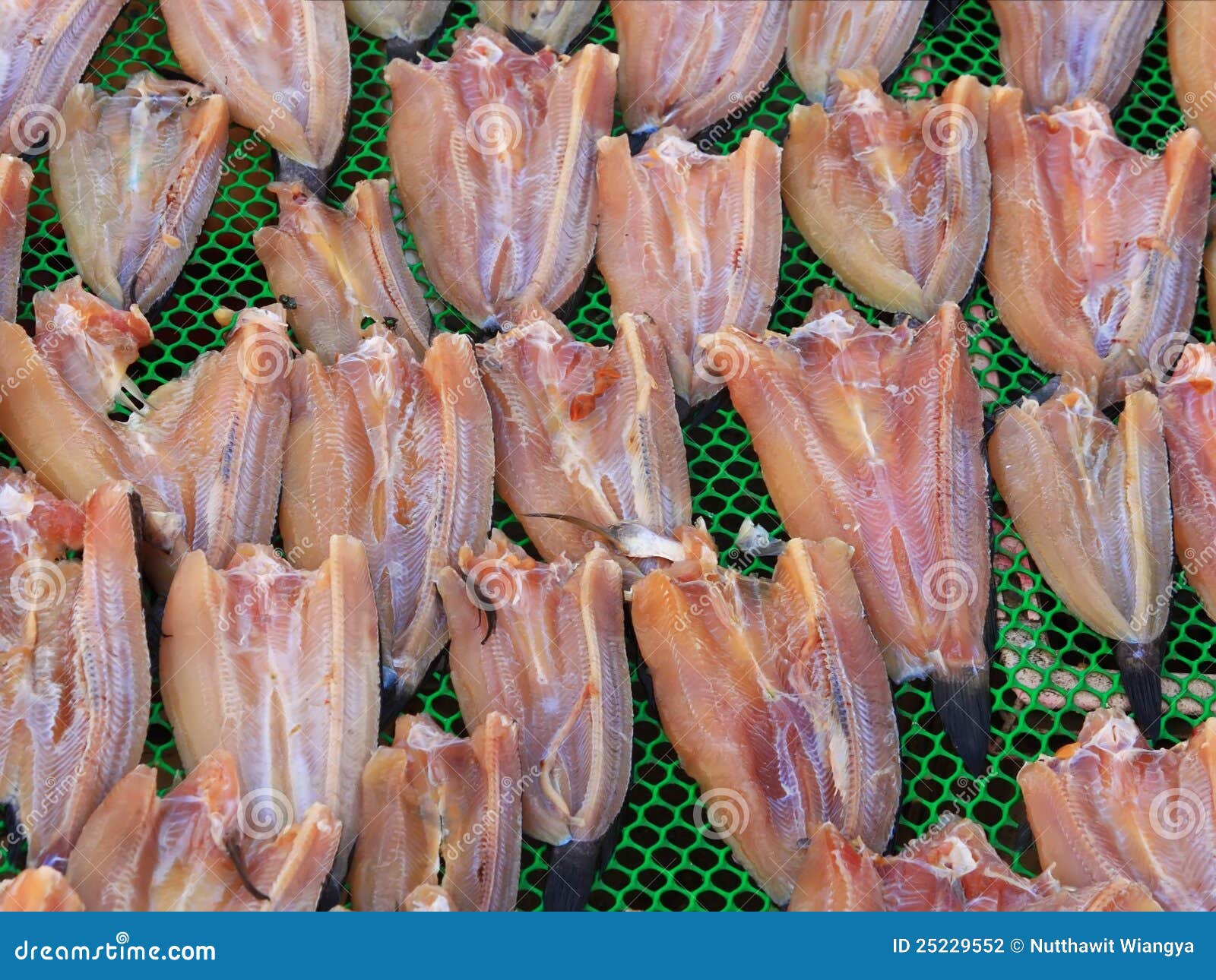 Preparation of dried fish stock photo. Image of group 25229552