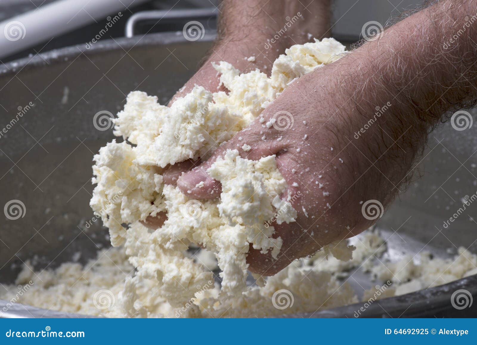 Preparation of Mozzarella in a Dairy Stock Image Image of gourmet, impaste 64692925