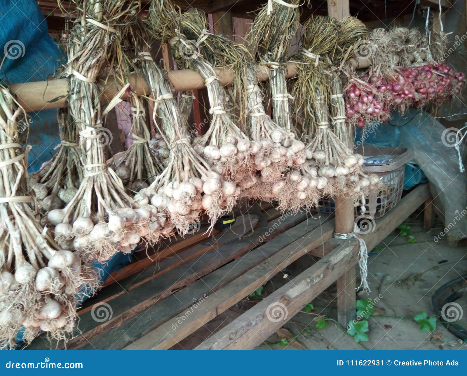 Prepare Shallot and Garlic on Shelf Stock Image Image of garlic, prepare 111622931
