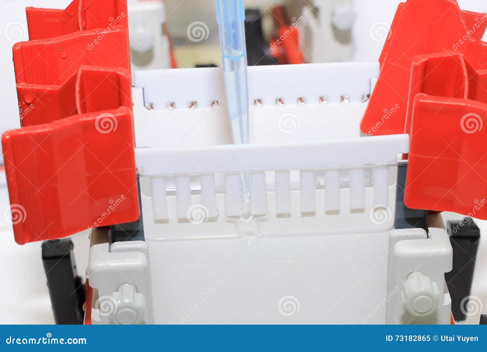 prepare stacking gel for sds-page