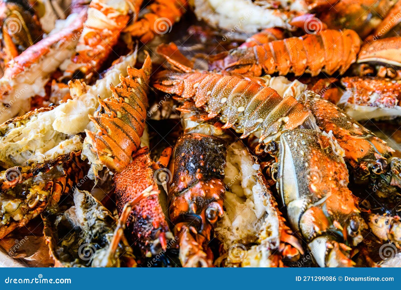 Prepared Spiny Lobsters on a Plate. Exotic Seafood Stock Photo Image
