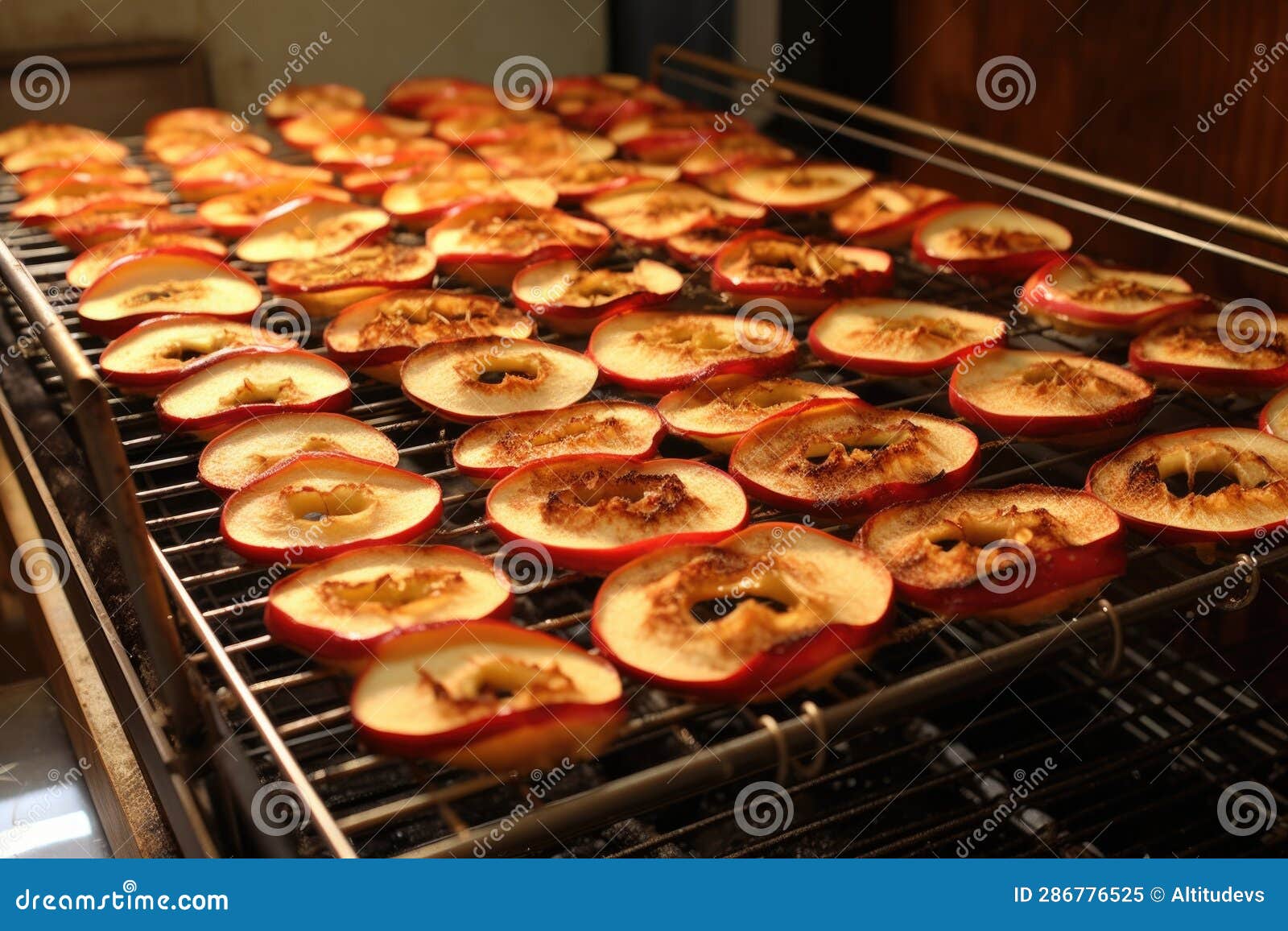 Preparing Apple Rings for Dehydrating Process Stock Image Image of
