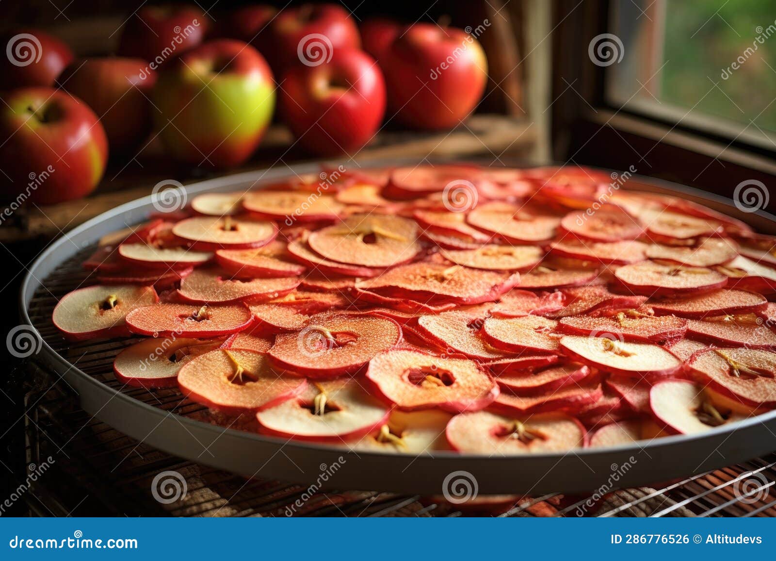 Preparing Apple Rings for Dehydrating Process Stock Photo Image of