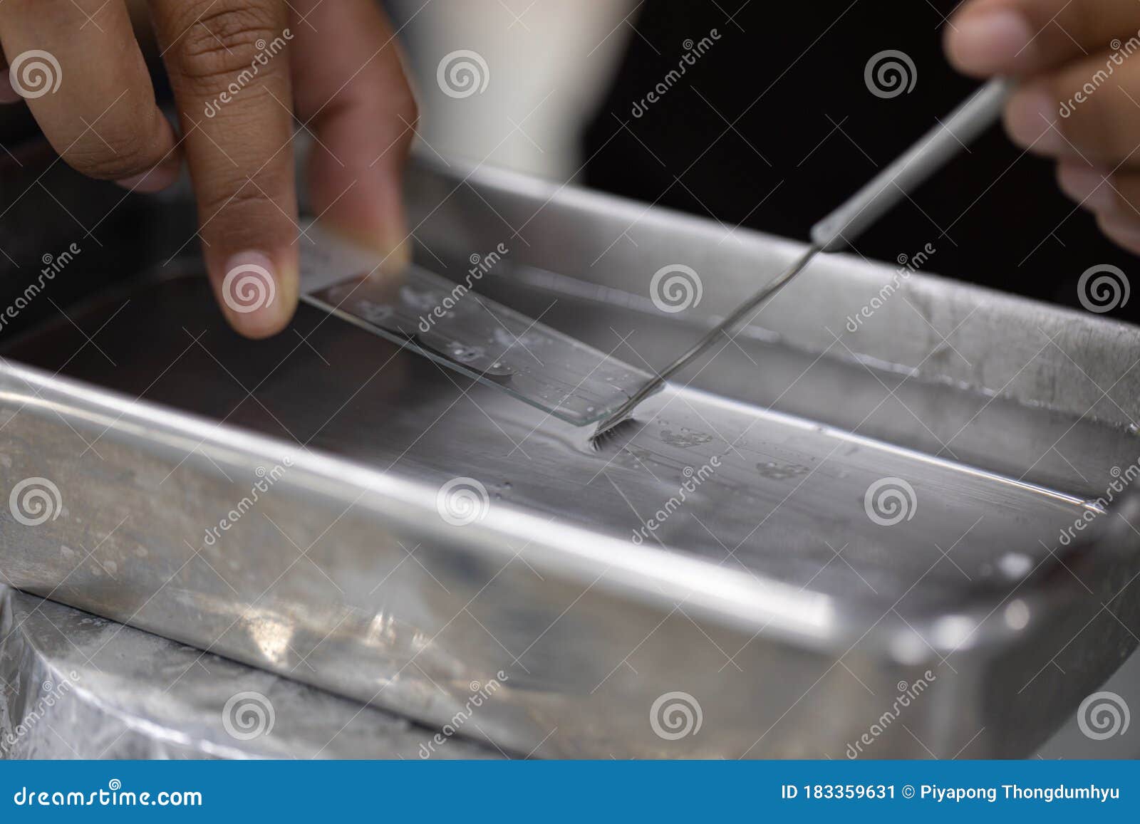 preparing a biopsy by use microtome in lab.