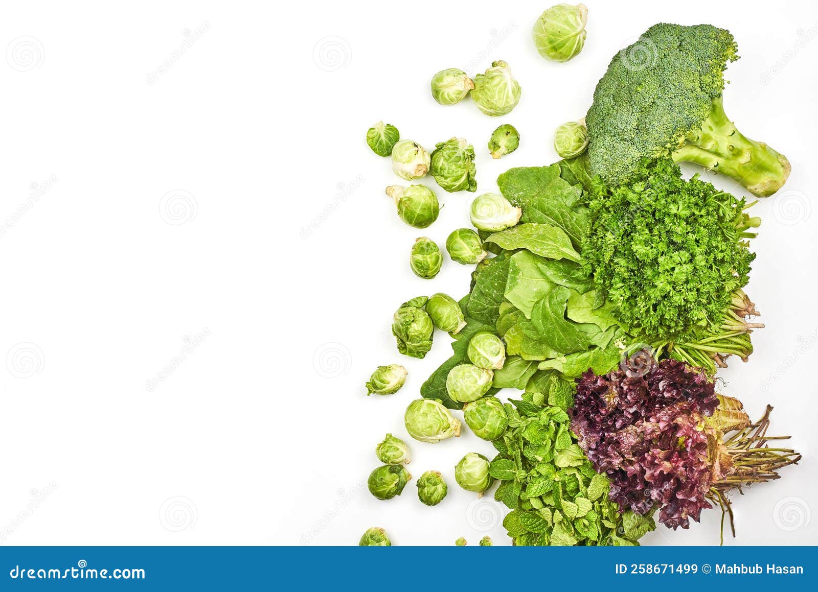 Fresh Leafy Greens and Brussels Sprouts on White Background Stock Image