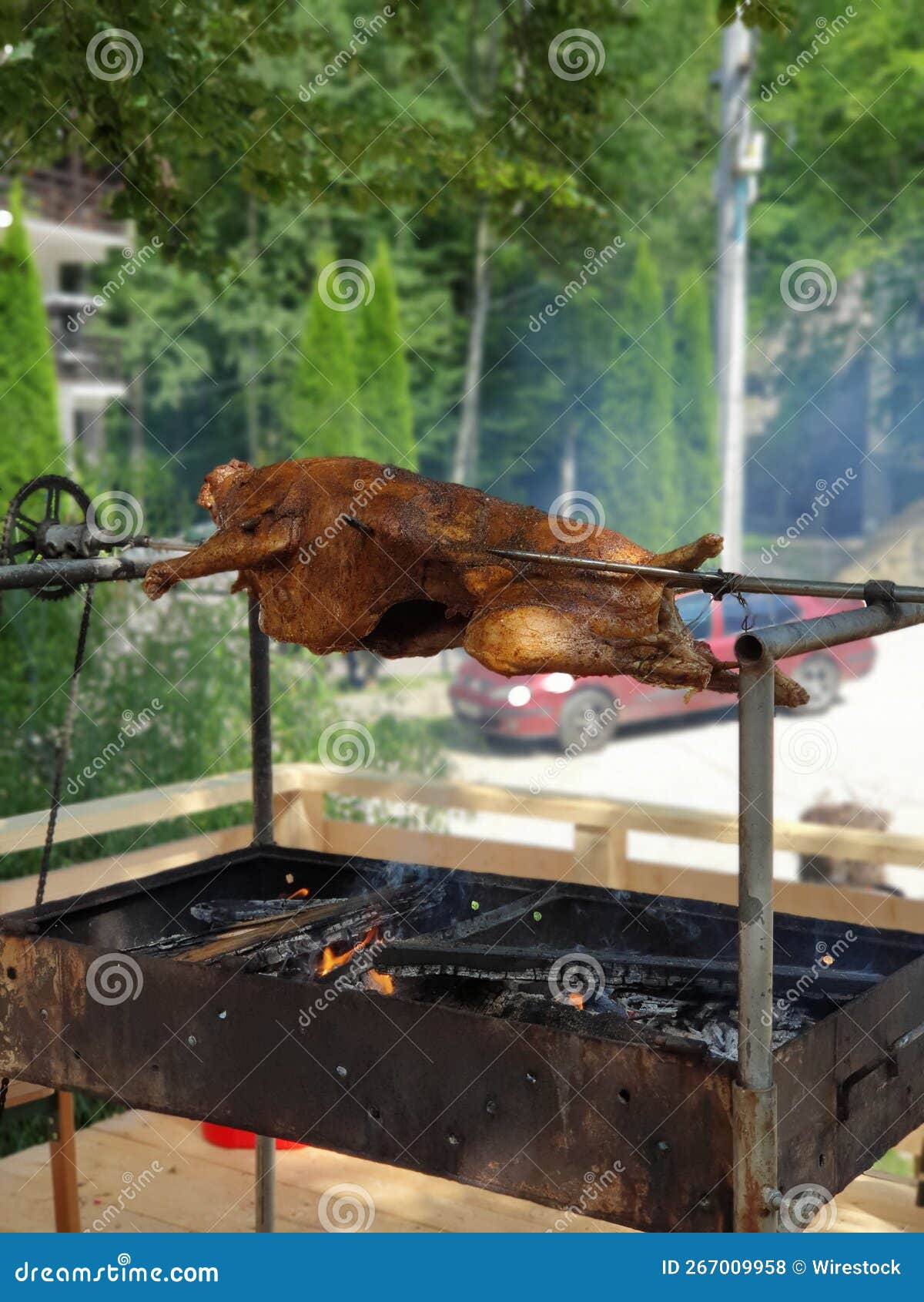A Whole Chicken Barbeque on the Grill Outdoors Stock Photo Image of