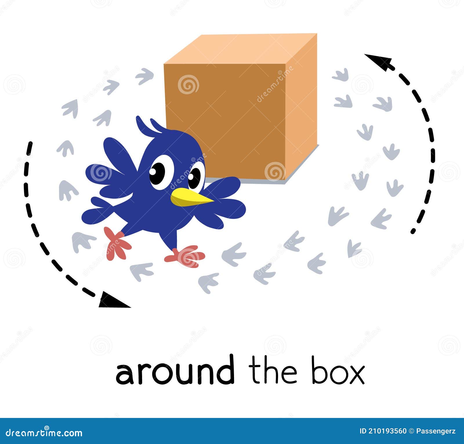 Preposition of Movement. Bird Walks Around the Box Stock Vector -  Illustration of vector, smile: 210193560