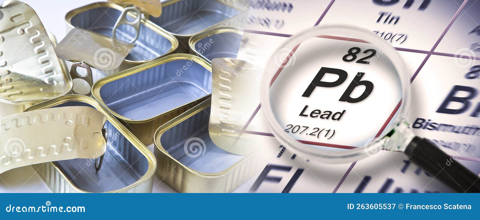 Presence of Lead in Canned Food - HACCP Hazard Analyses and Critical 