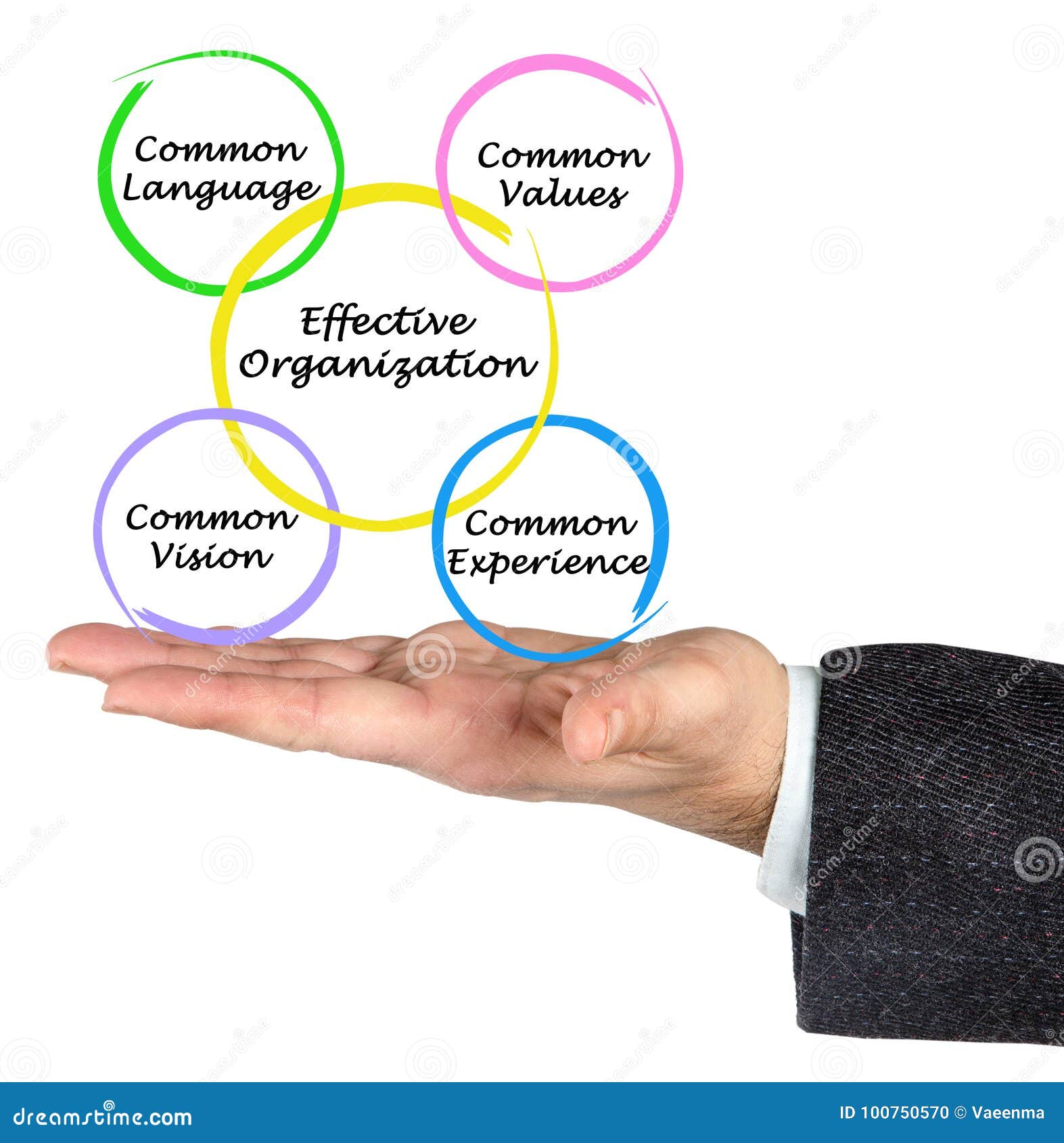 effective organizations