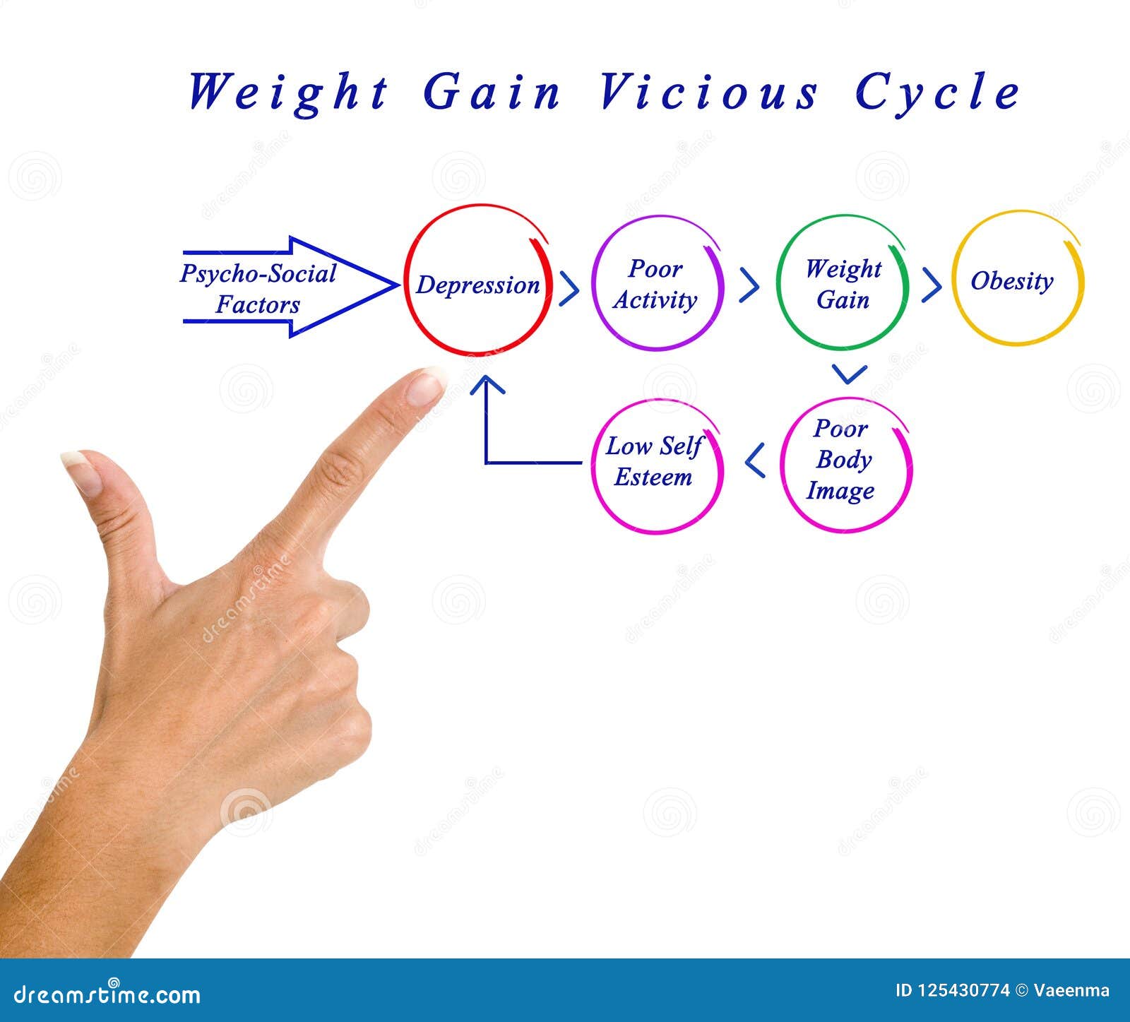 Weight Gain Vicious Cycle stock photo. Image of hand 125430774