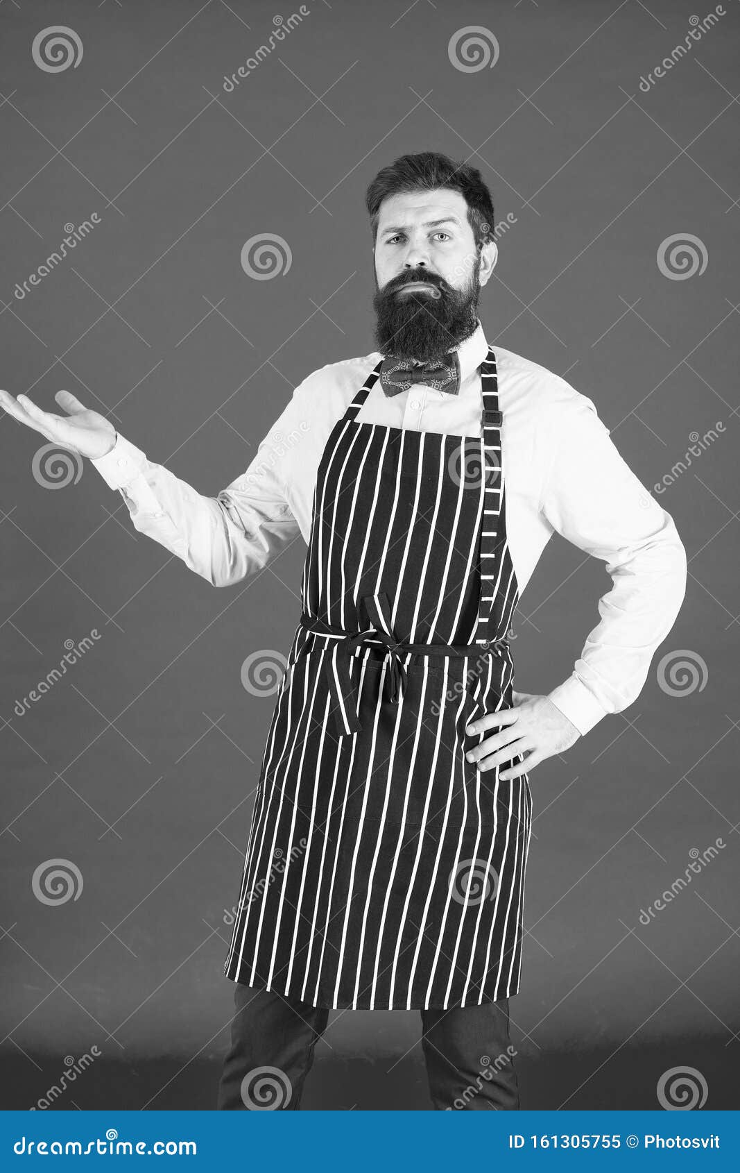 Presenting Your Product. Confident Man Worker or Waiter. Grill Worker  Wearing Barbecue Apron Stock Image - Image of beard, profession: 161305755