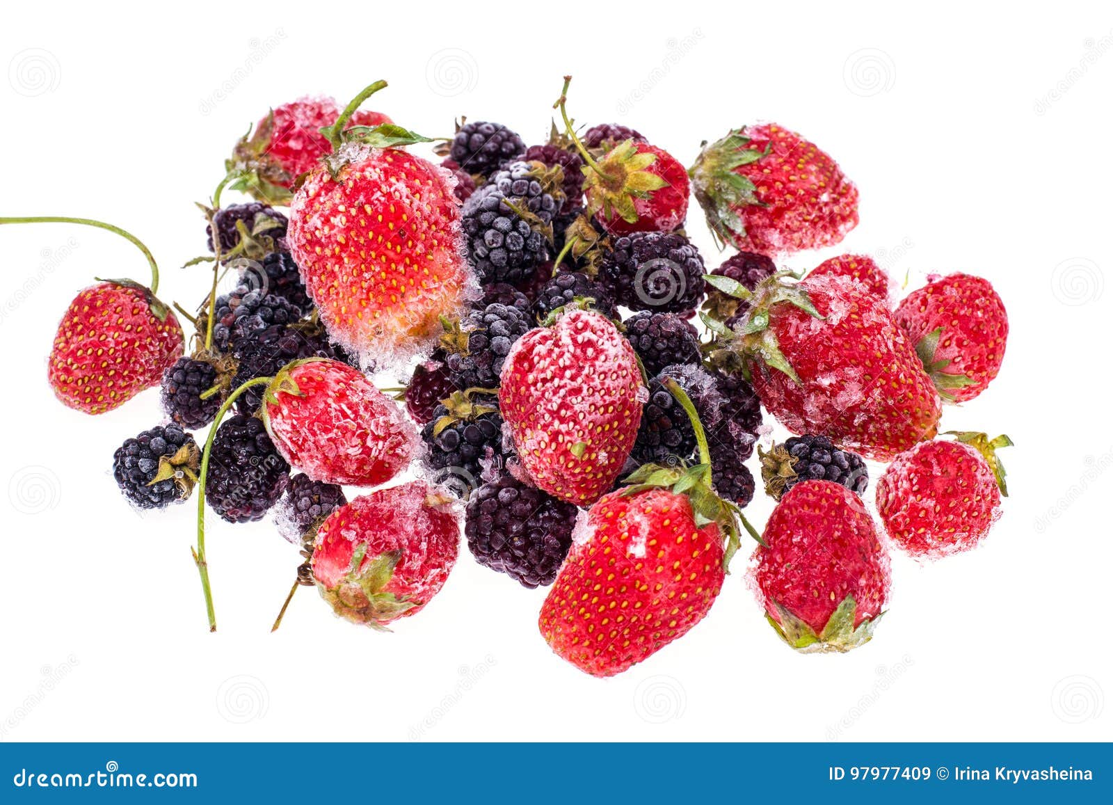 Preservation of Vitamins in Frozen Berries Stock Image Image of