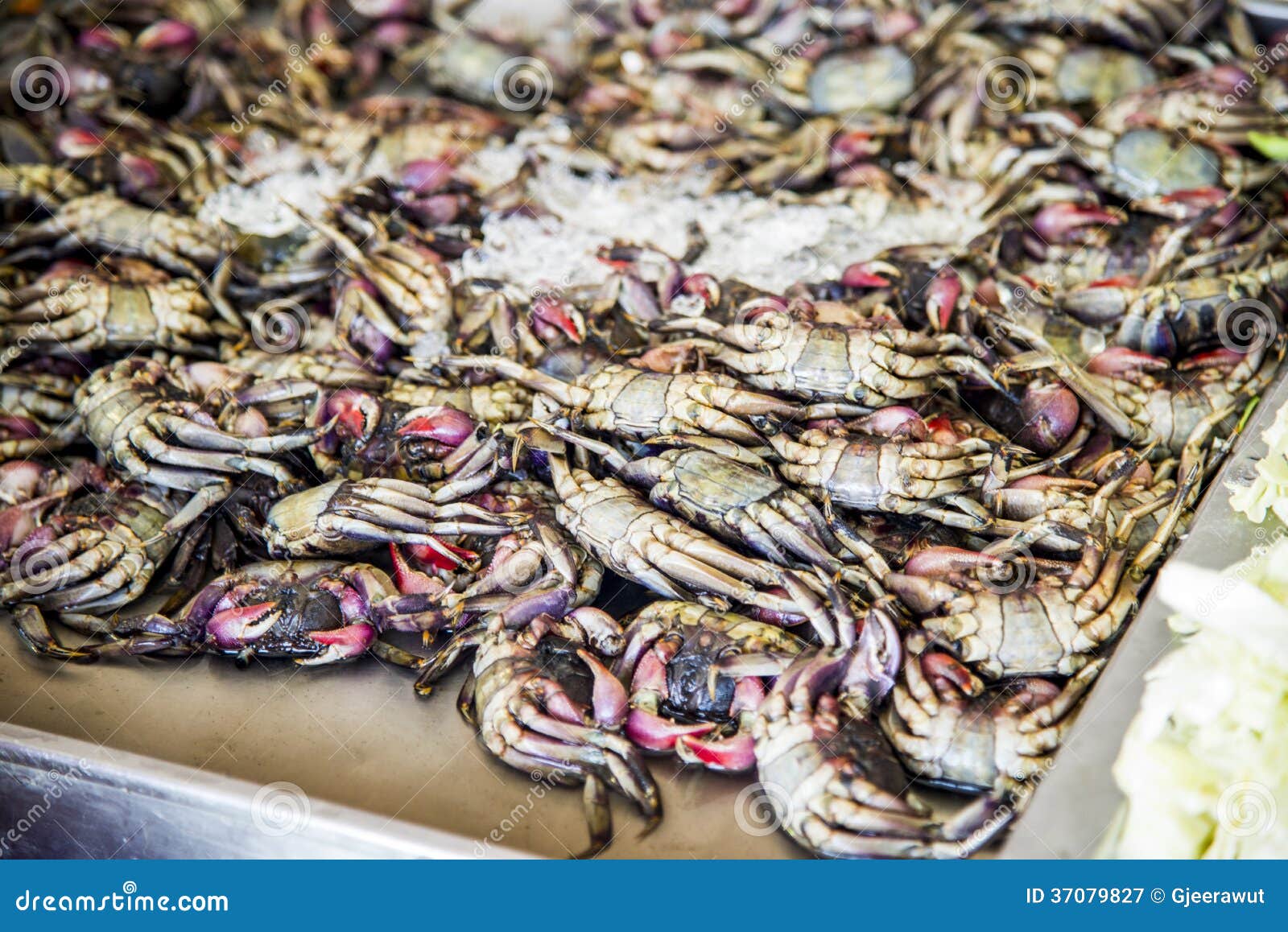Preserved Crab with Salt for Sale2 Stock Image Image of dinner, black