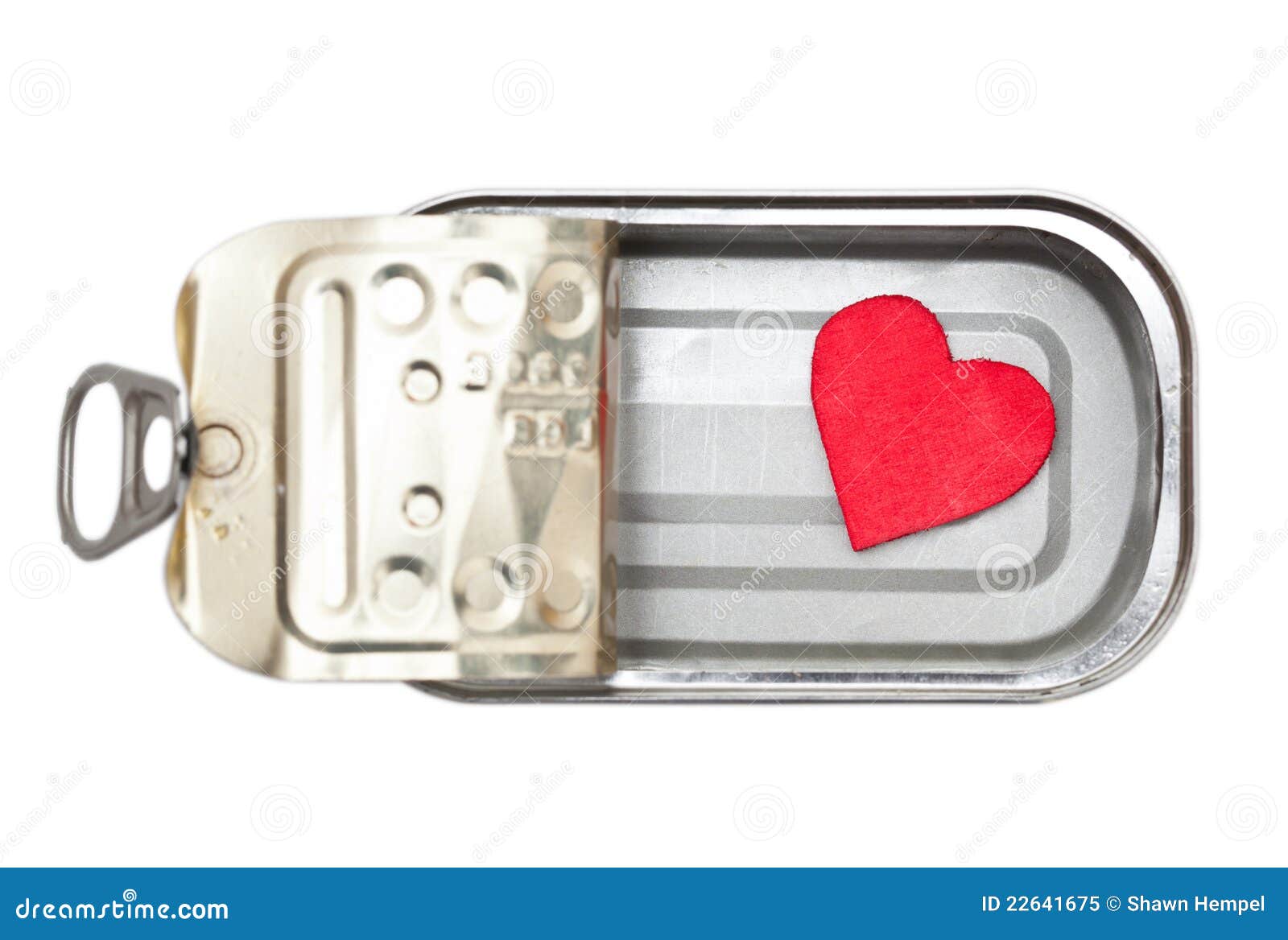 Preserved heart stock image. Image of preserve, heart 22641675