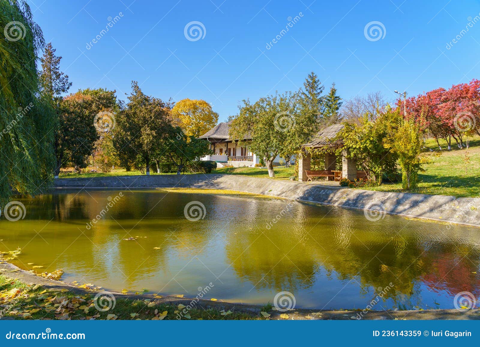 Preserved Old Pond in the Countryside. Nature Background with Copy Space Stock Image - Image of green, lake: 236143359