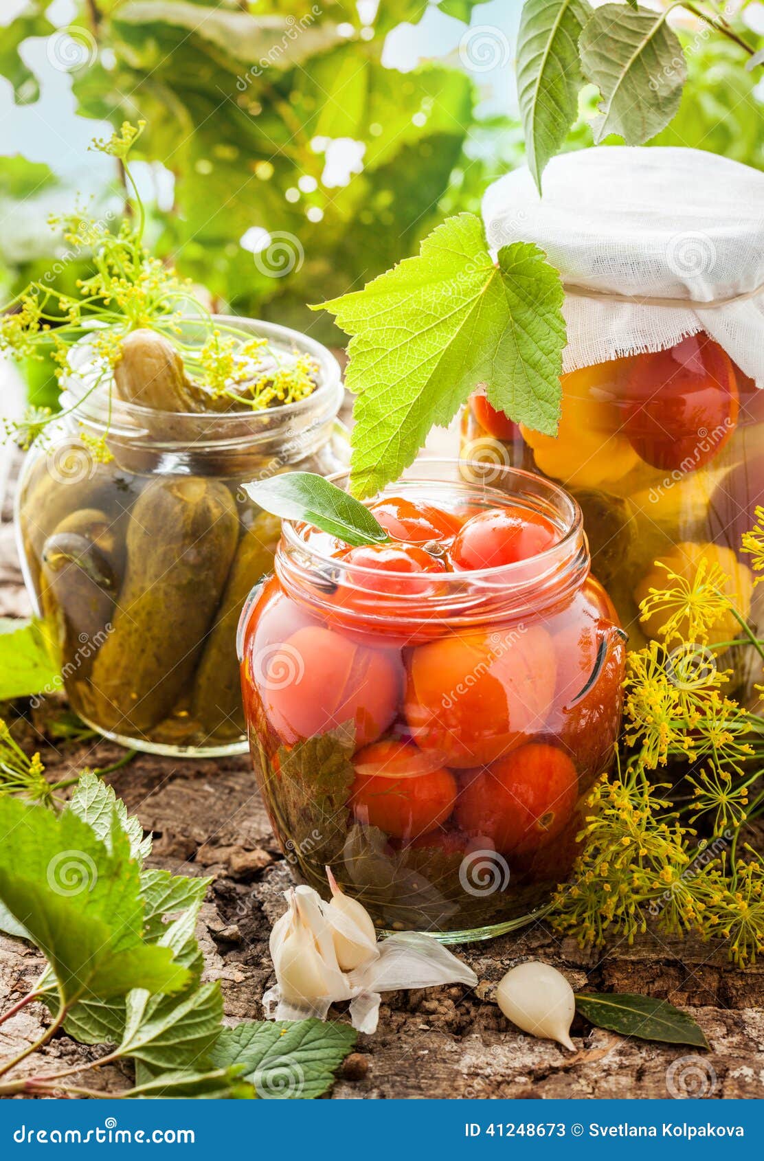 Preserved vegetables stock image. Image of courgette 41248673