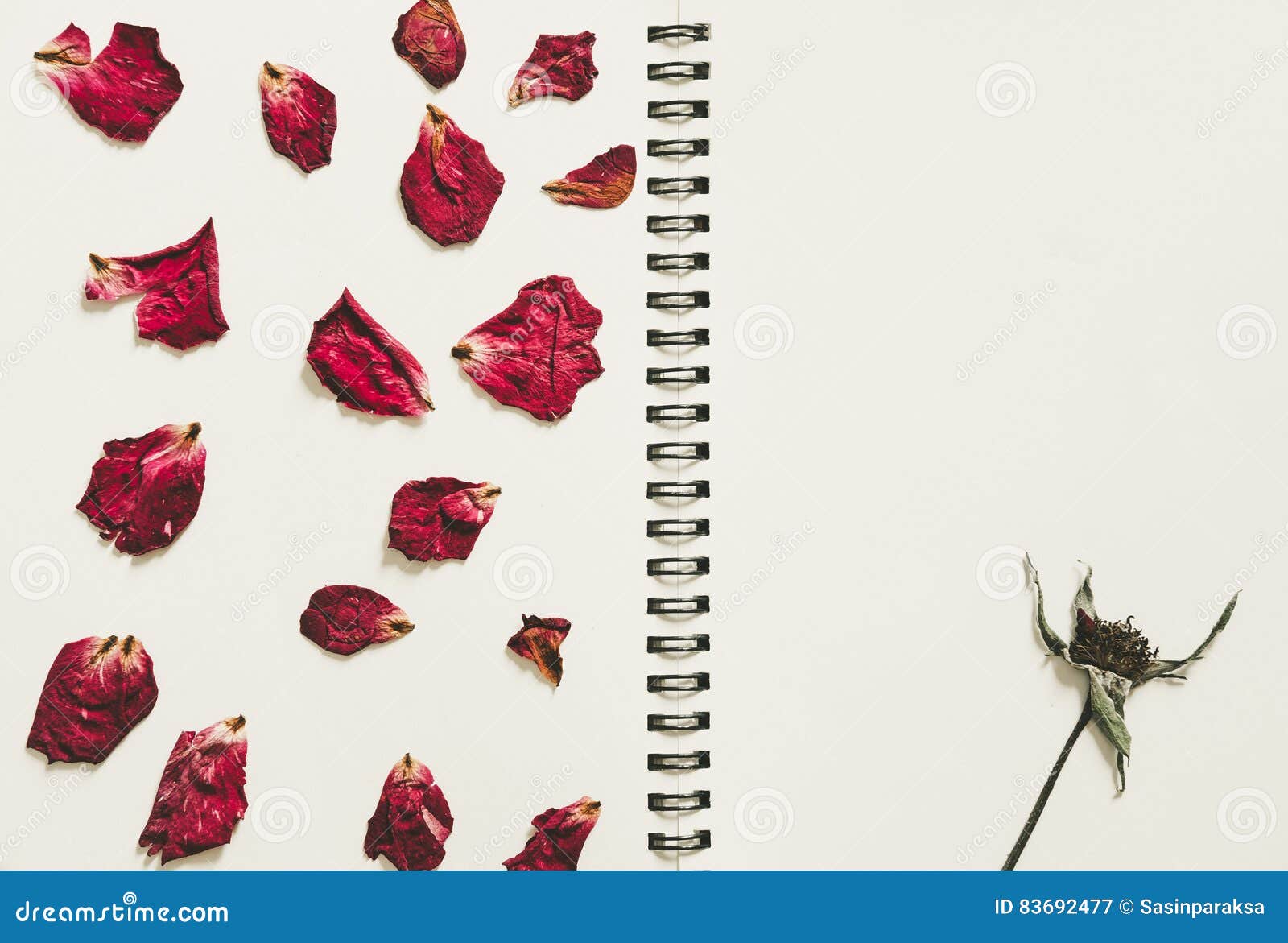 Press Dried Rose Flower Petals, on Note Book Page, with Copy Space, Vintage  Tone Stock Image - Image of background, dried: 83692477