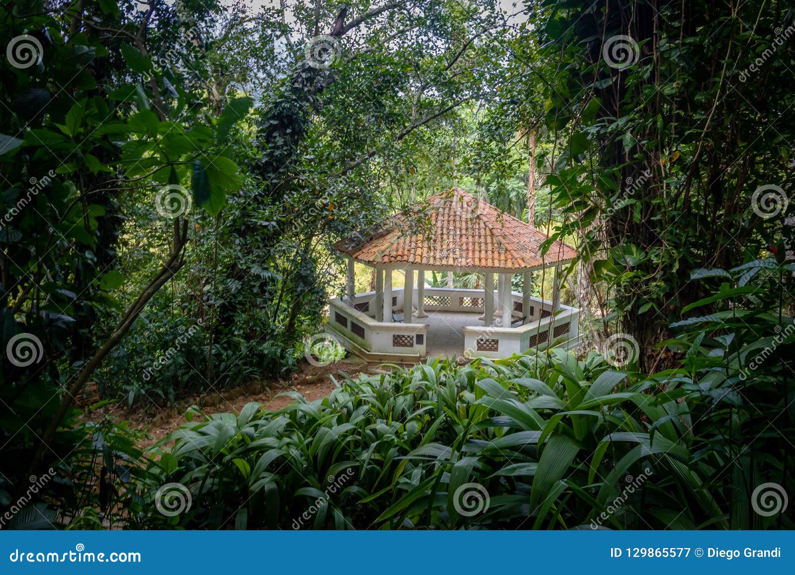 Presse Belvedere An Botanischem Garten Jardim Botanico ...