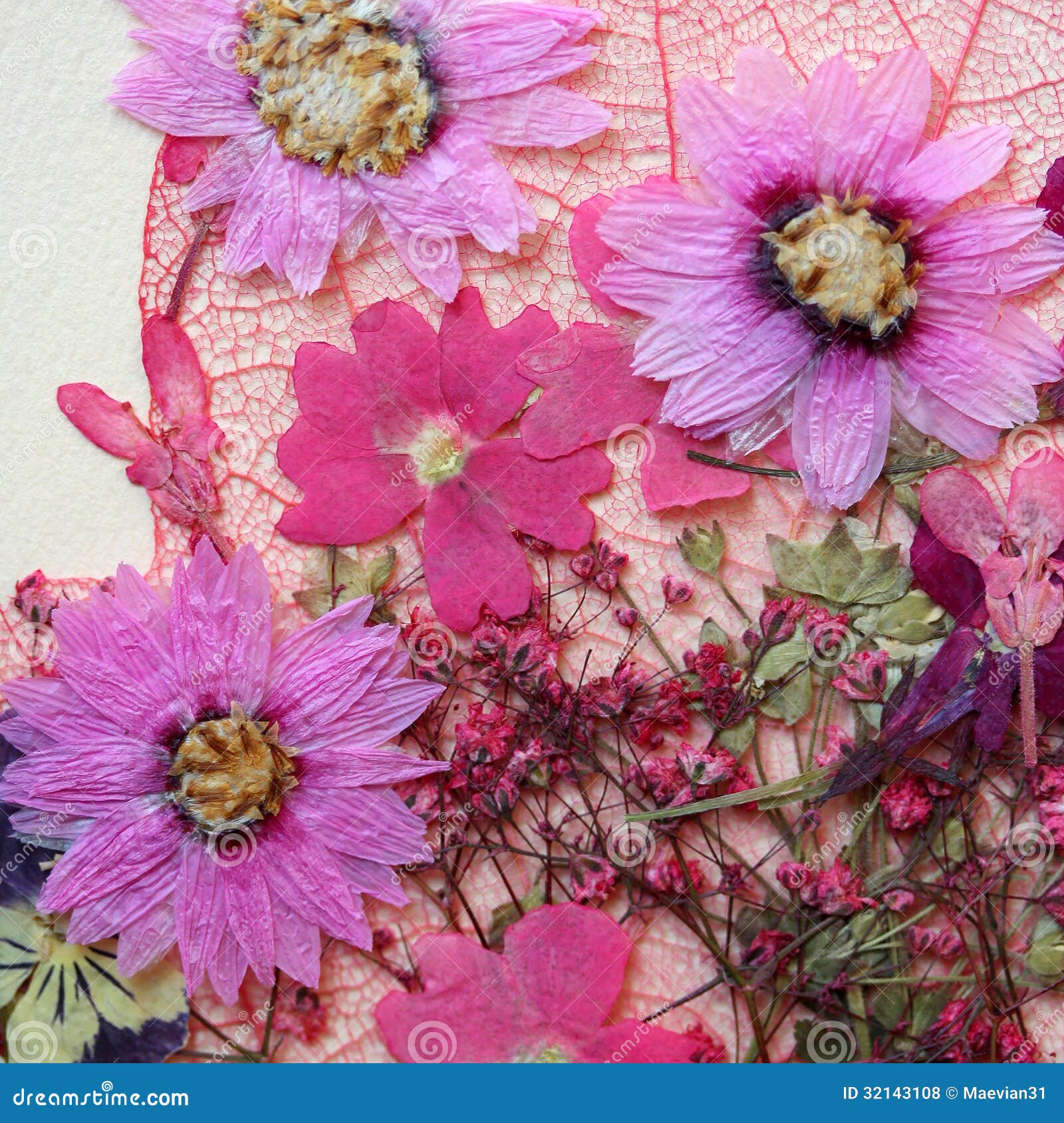 Dried Pressed Flowers Pink Royalty-Free Images, Stock Photos & Pictures