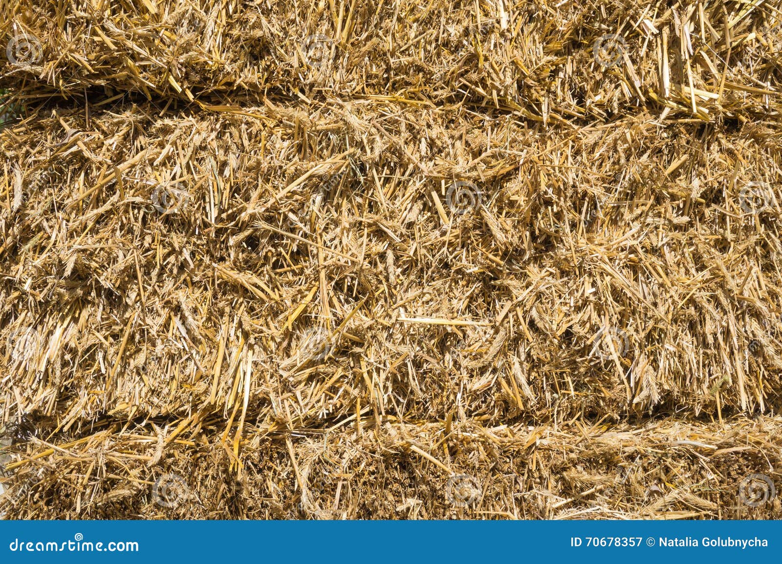 Pressed rye straw stock image. Image of compressed, golden 70678357