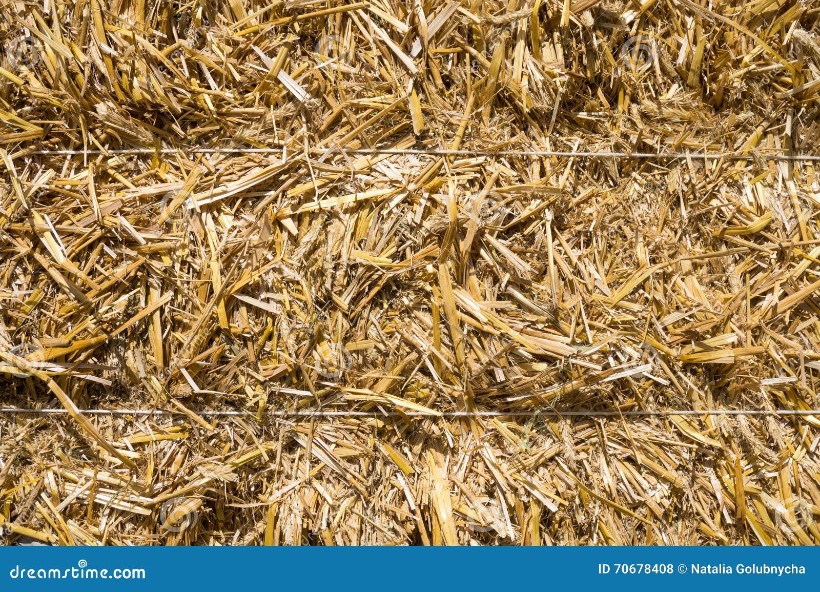 Pressed rye straw stock photo. Image of threshed, haymaking 70678408