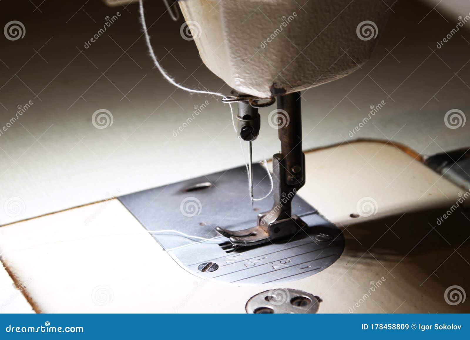 2 Presser Foot, Needle and Thread of the Sewing Machine Stock Image
