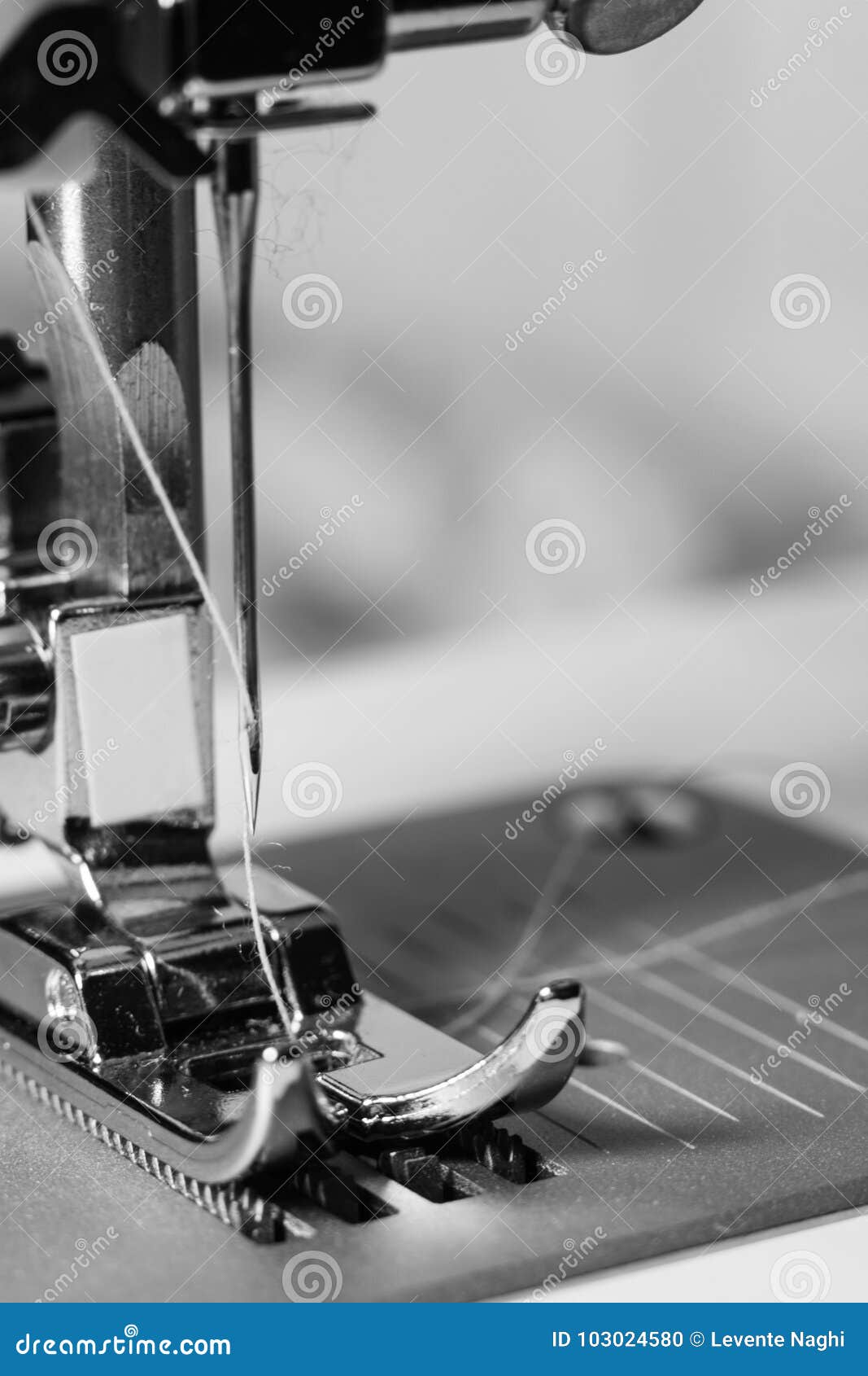 Presser Foot of Sewing Machine Stock Photo Image of textile, blue