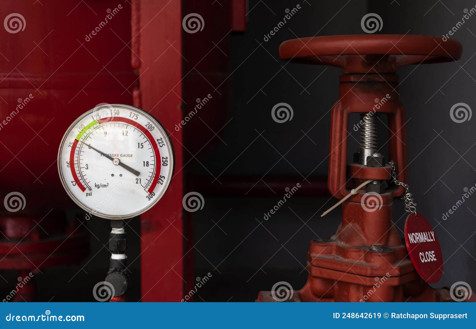 Pressure Gauge for Fire Suppression System Stock Image Image of