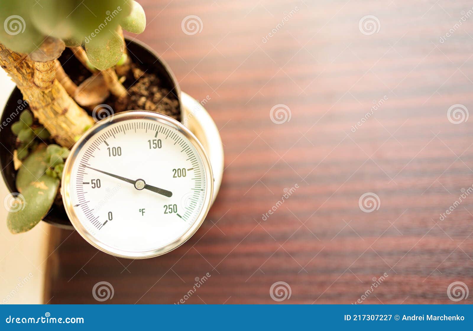 A Pressure Gauge is Stuck in a Pot with a Flower Standing on the Windowsill Stock Image Image