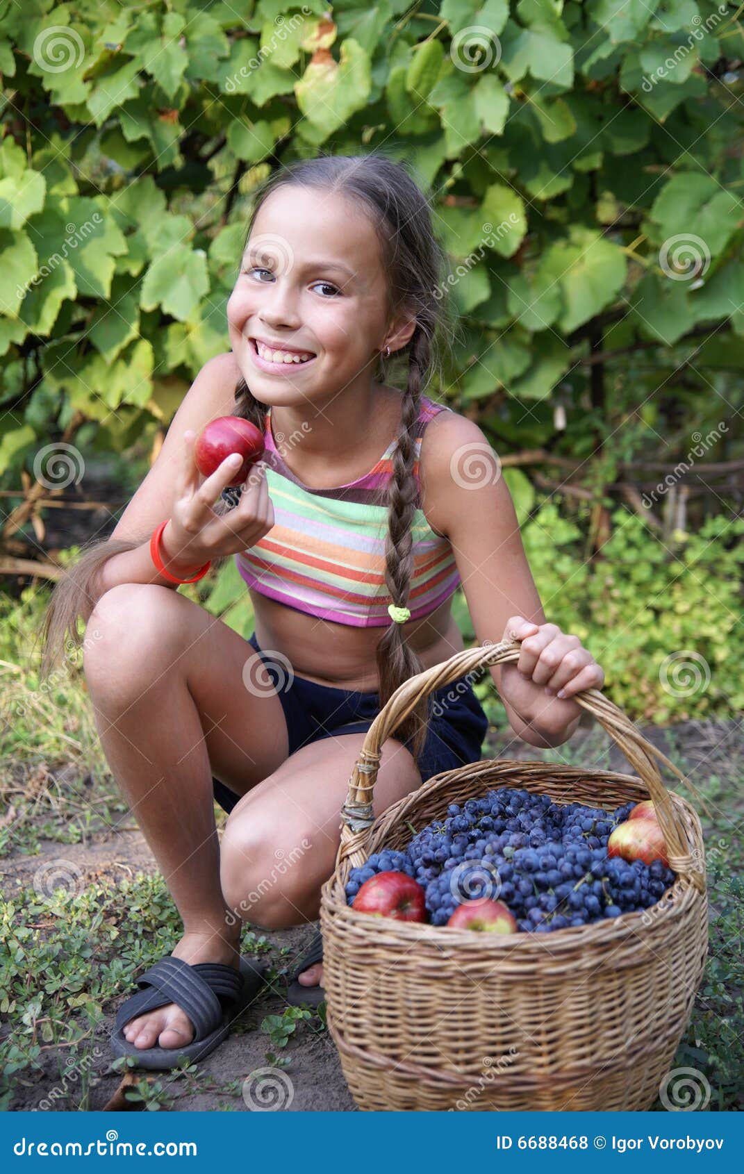 Preteen Girl With Apples Stock Photo Image Of Expression 6688468