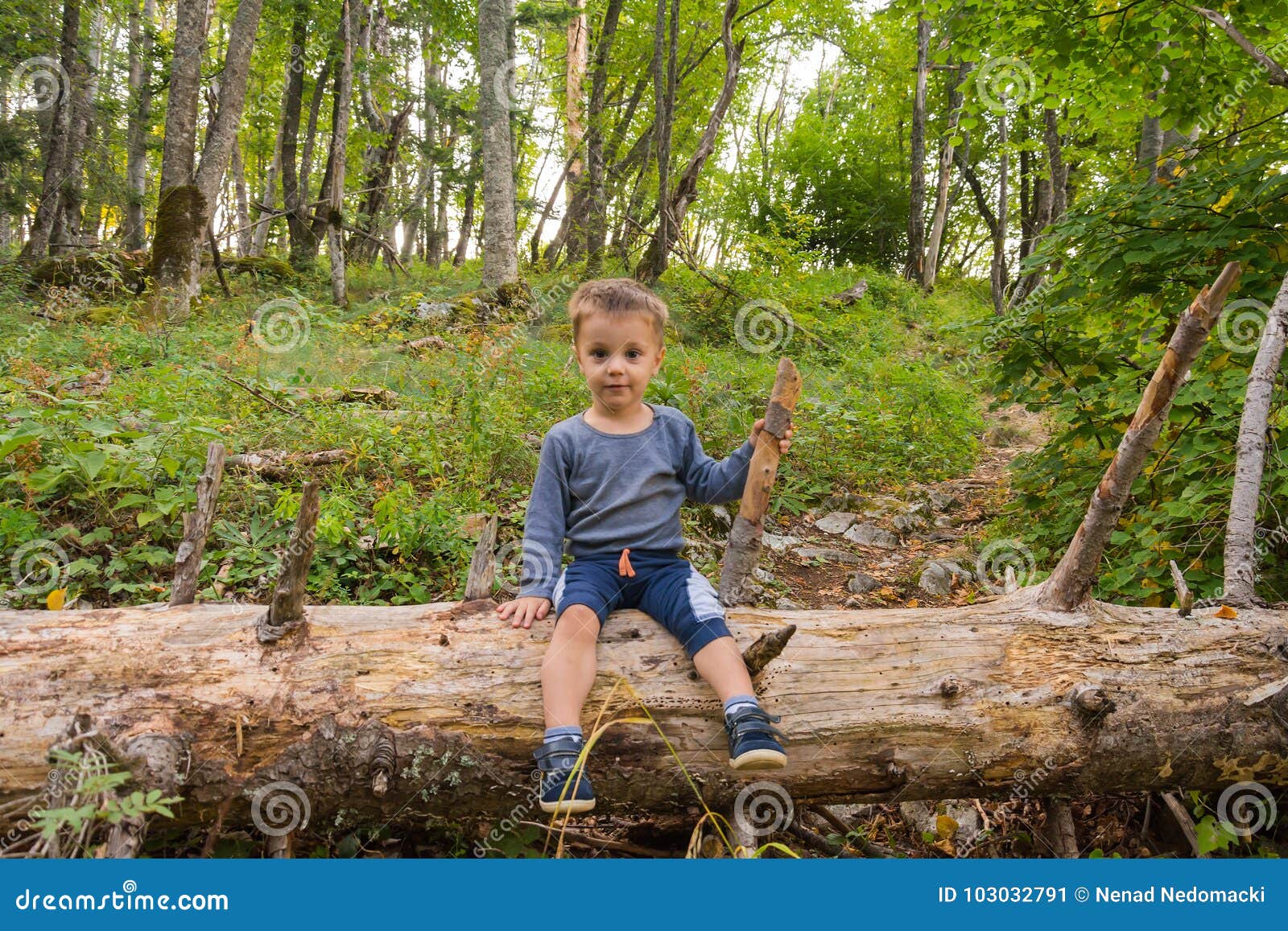 Pretty Boy in Nature at Sunset Stock Image - Image of park, background
