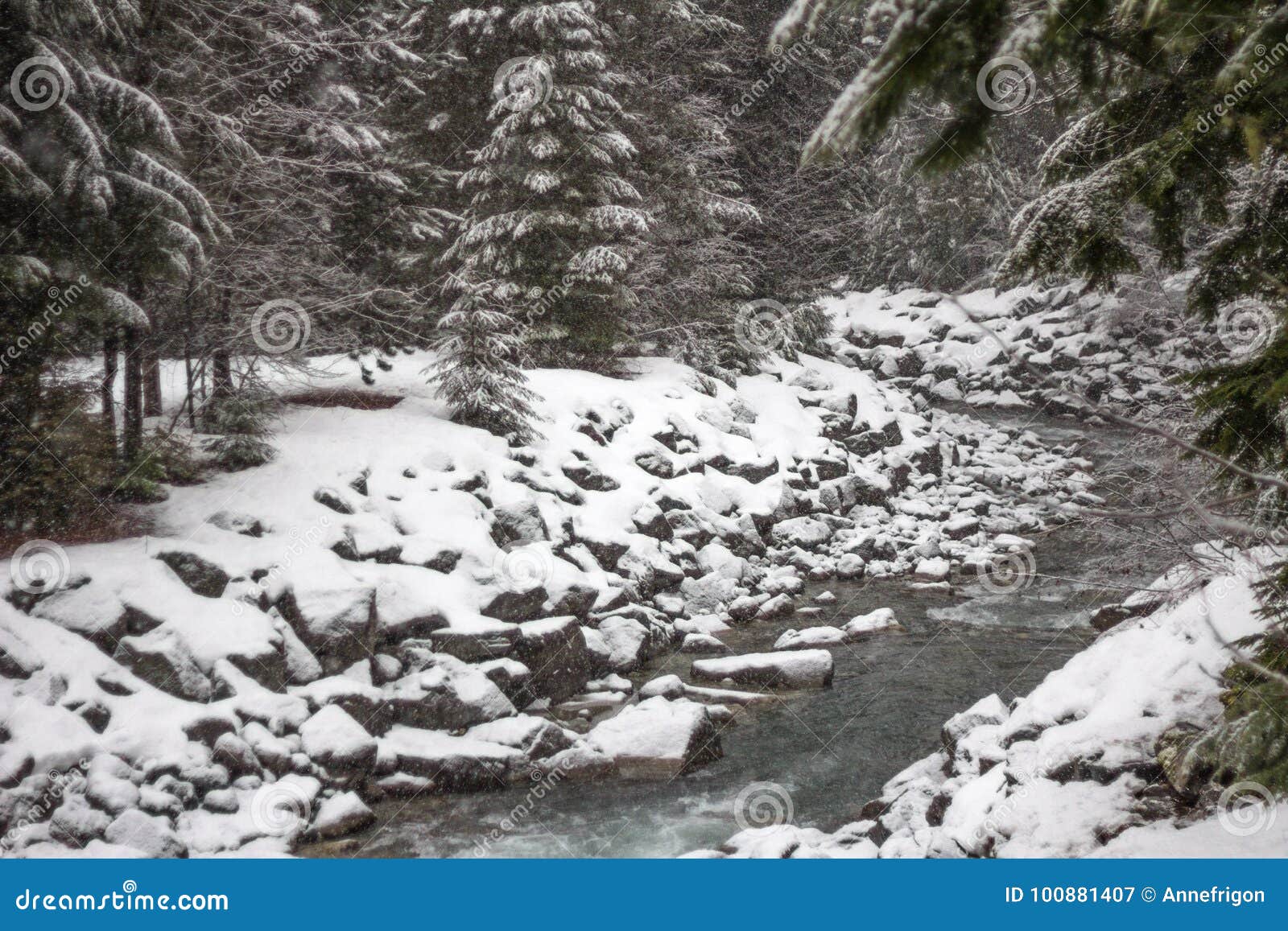 fresh snow falling onto river banks and trees, whistler, bc