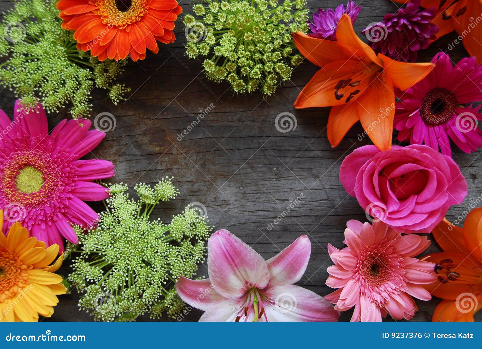 Pretty Floral Frame stock photo. Image of bouquet, gerbera 9237376