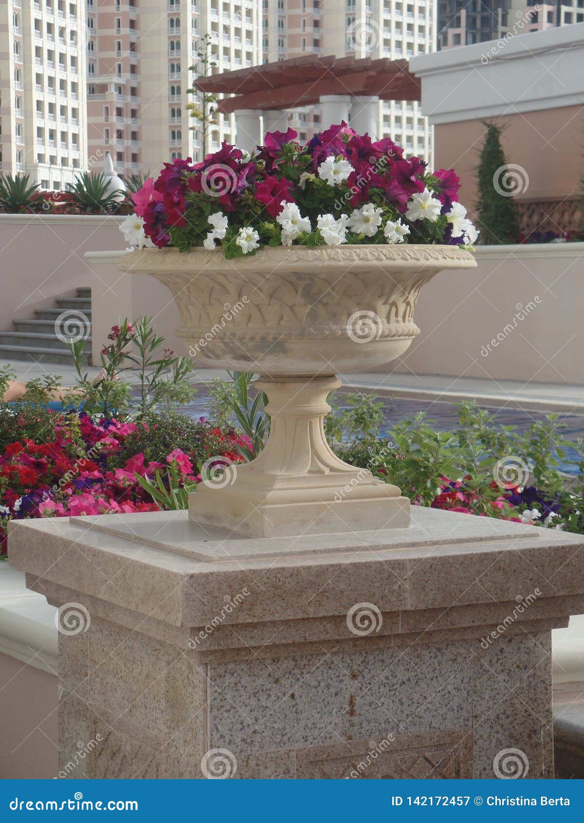 Pretty Flowers in a Pot on a Pillar Stock Image Image of bright, courtyard 142172457