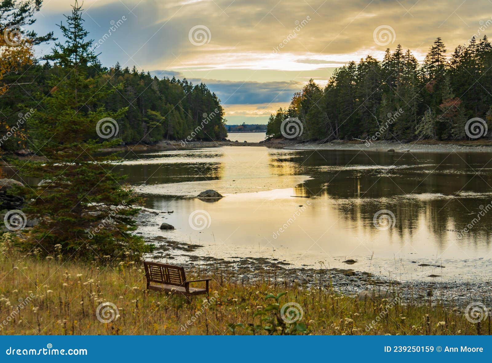 Pretty Marsh on Mount Desert Island, Maine, USA Stock Image Image of